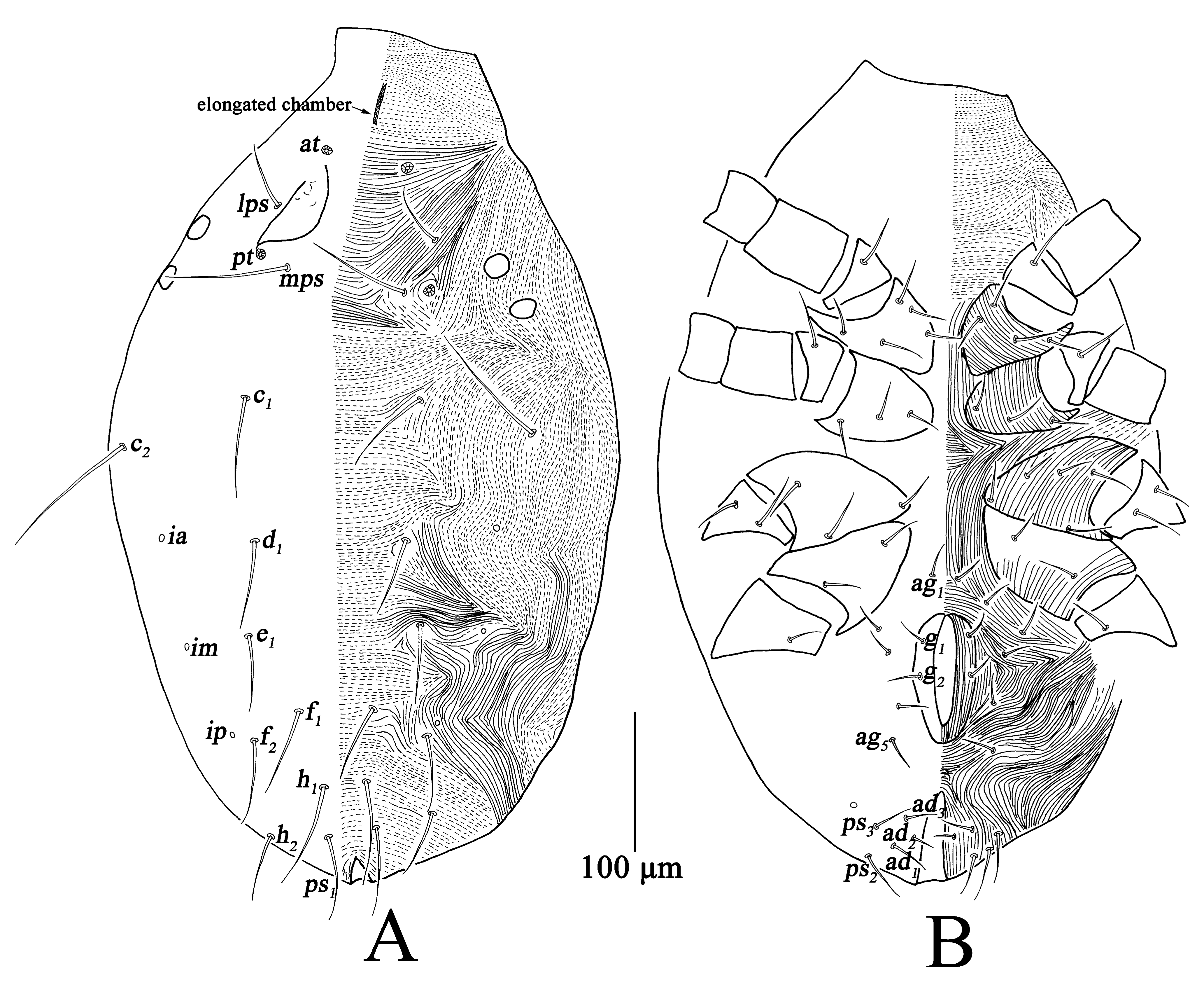 Insects 13 01080 g008