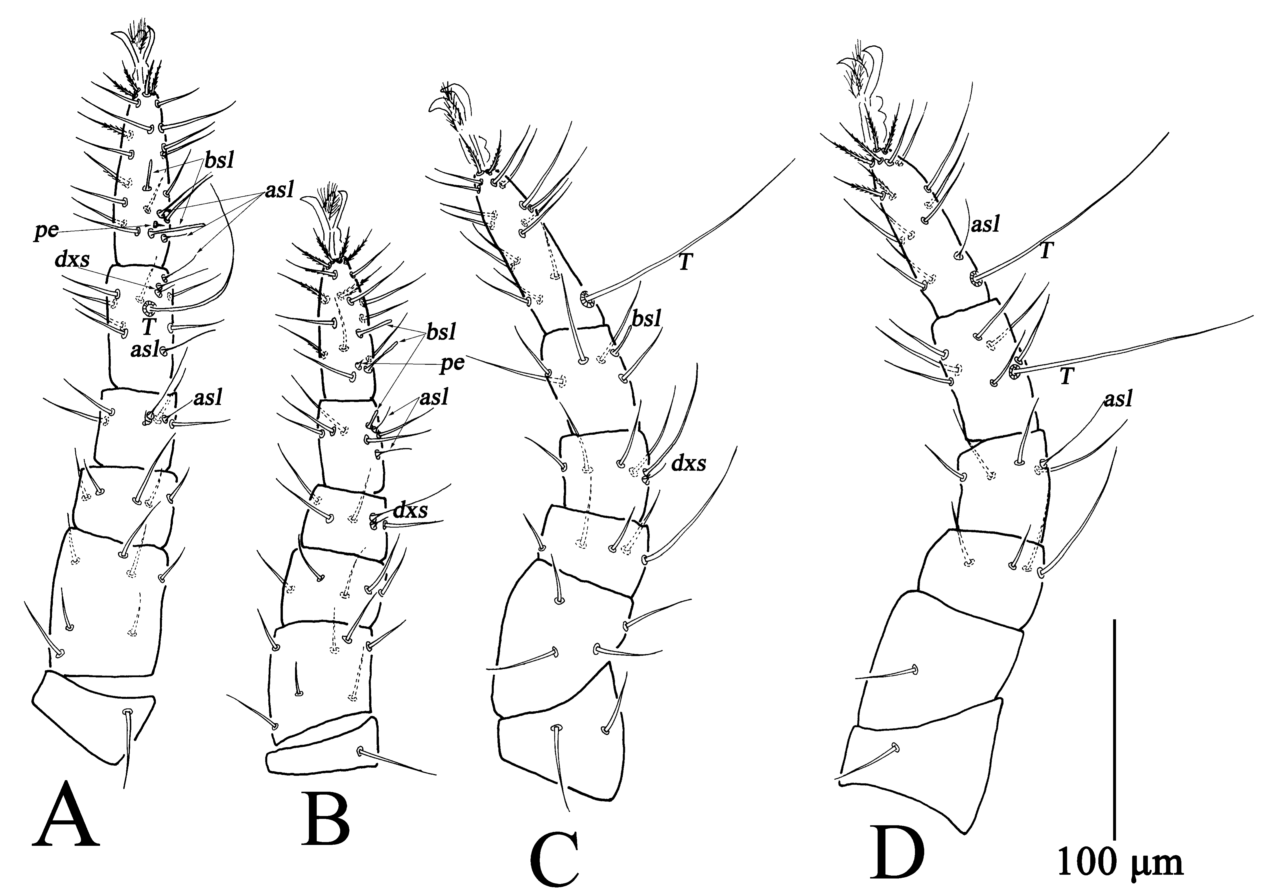 Insects 13 01080 g009