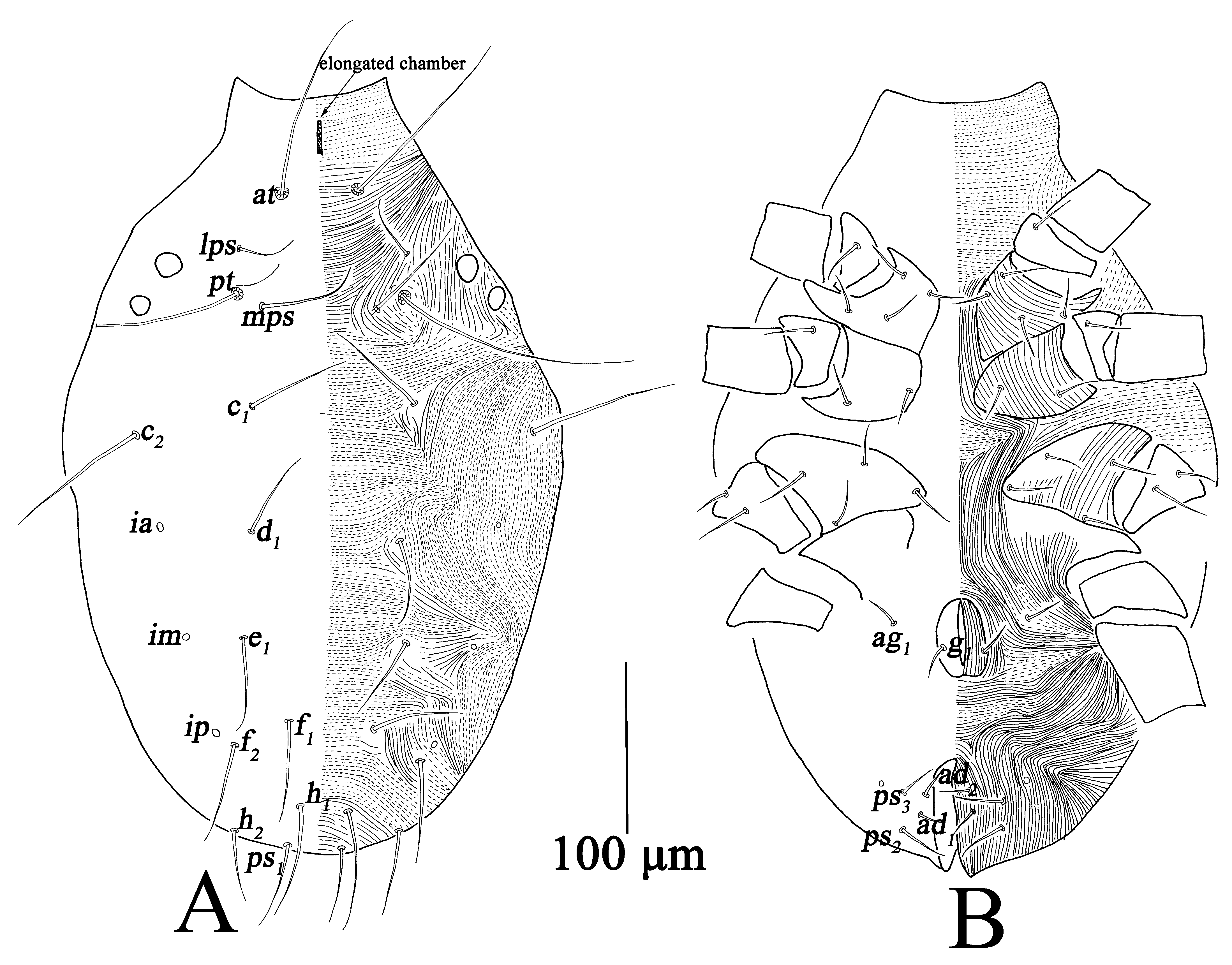 Insects 13 01080 g011