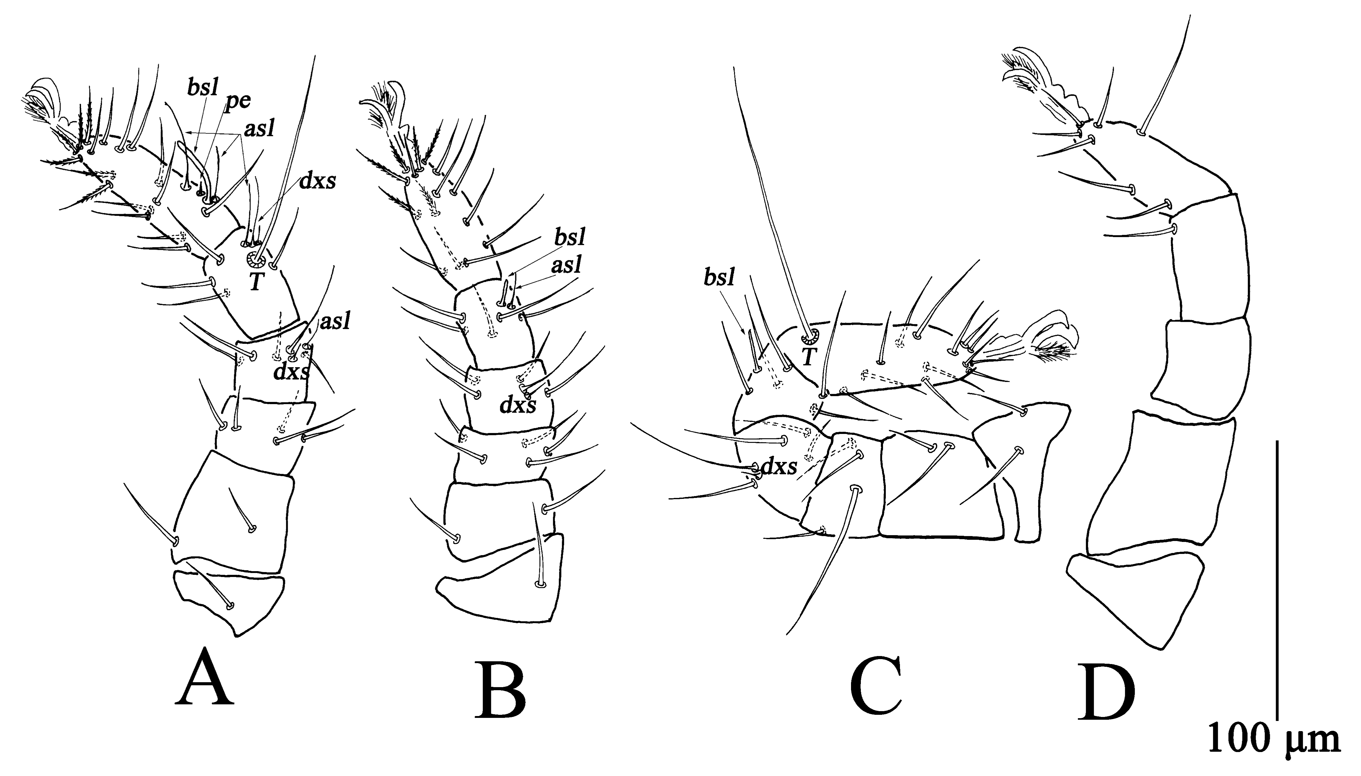Insects 13 01080 g012