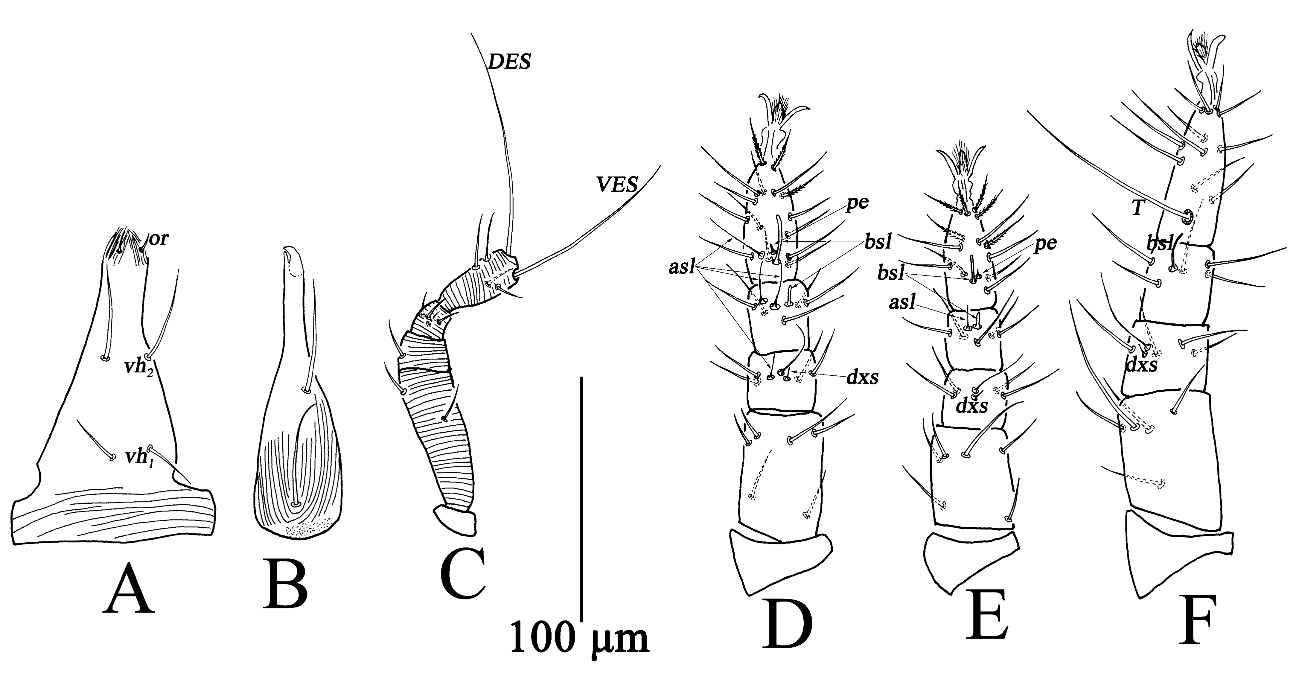 Insects 13 01080 g013