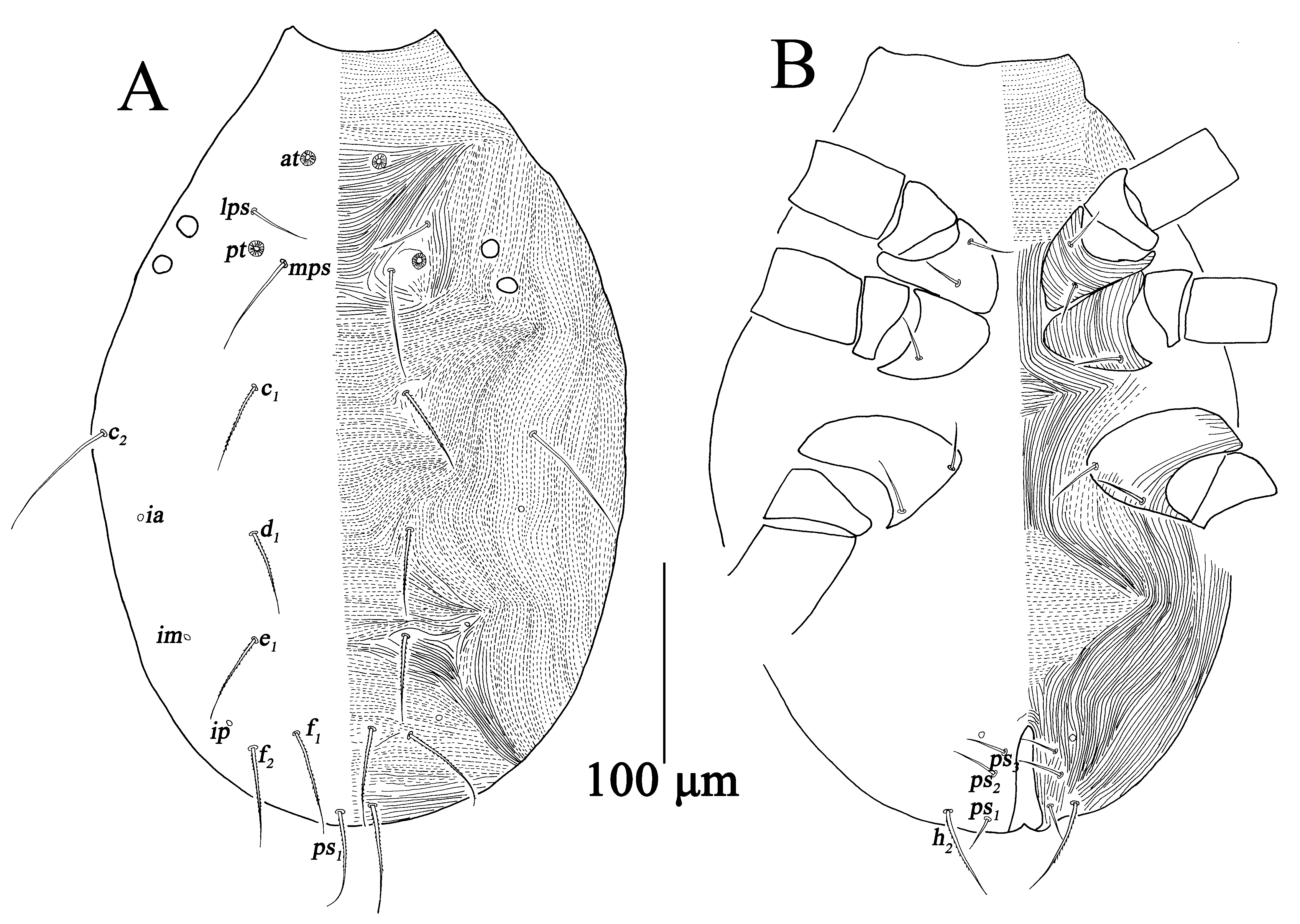 Insects 13 01080 g014