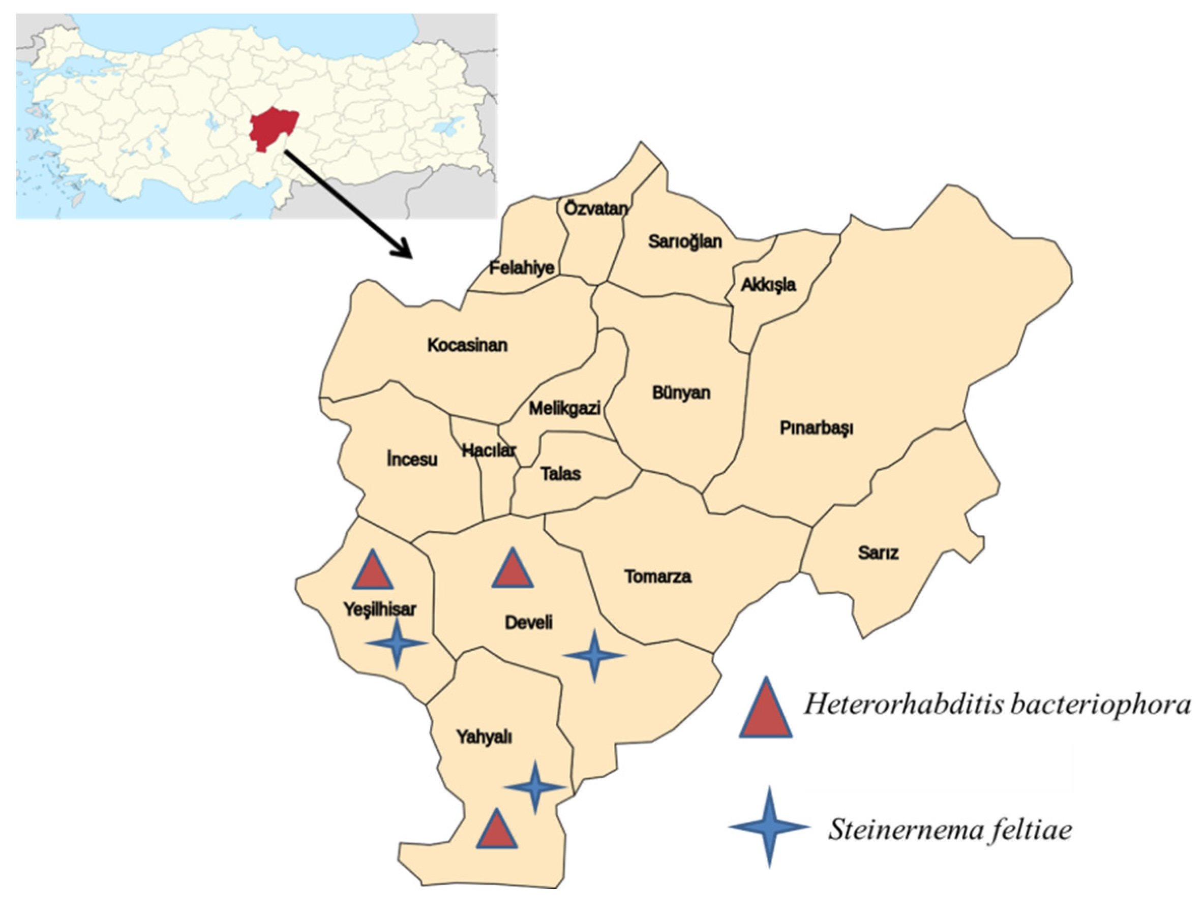 Insects 13 01085 g001