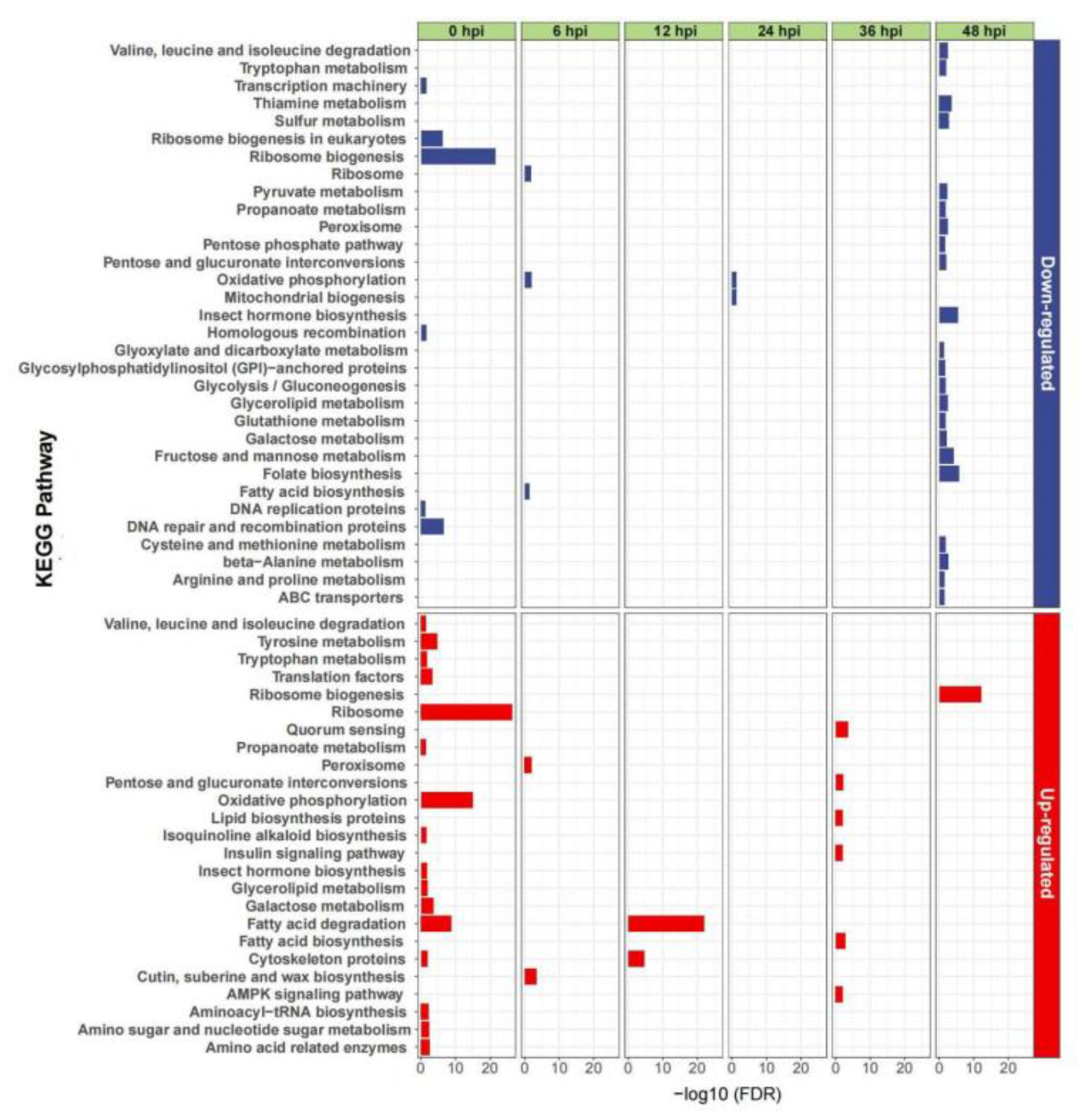 Insects 13 01088 g004