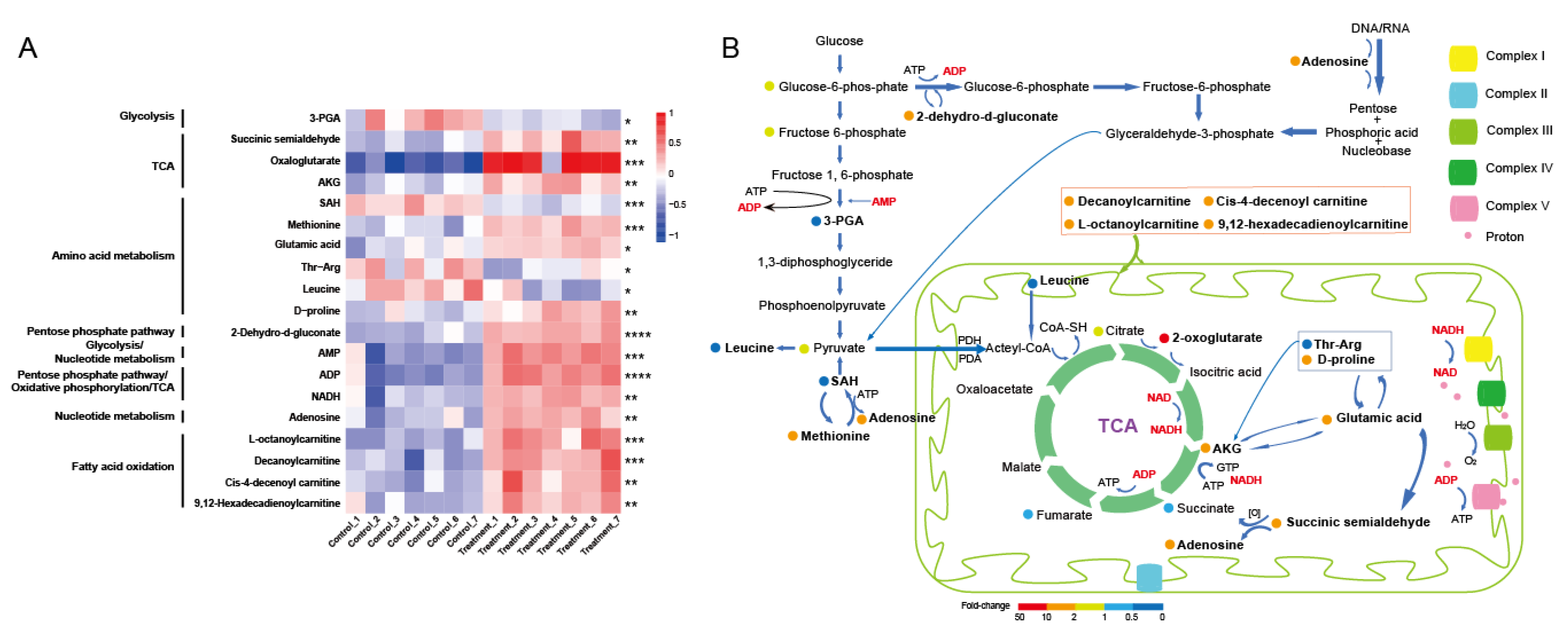 Insects 13 01091 g005