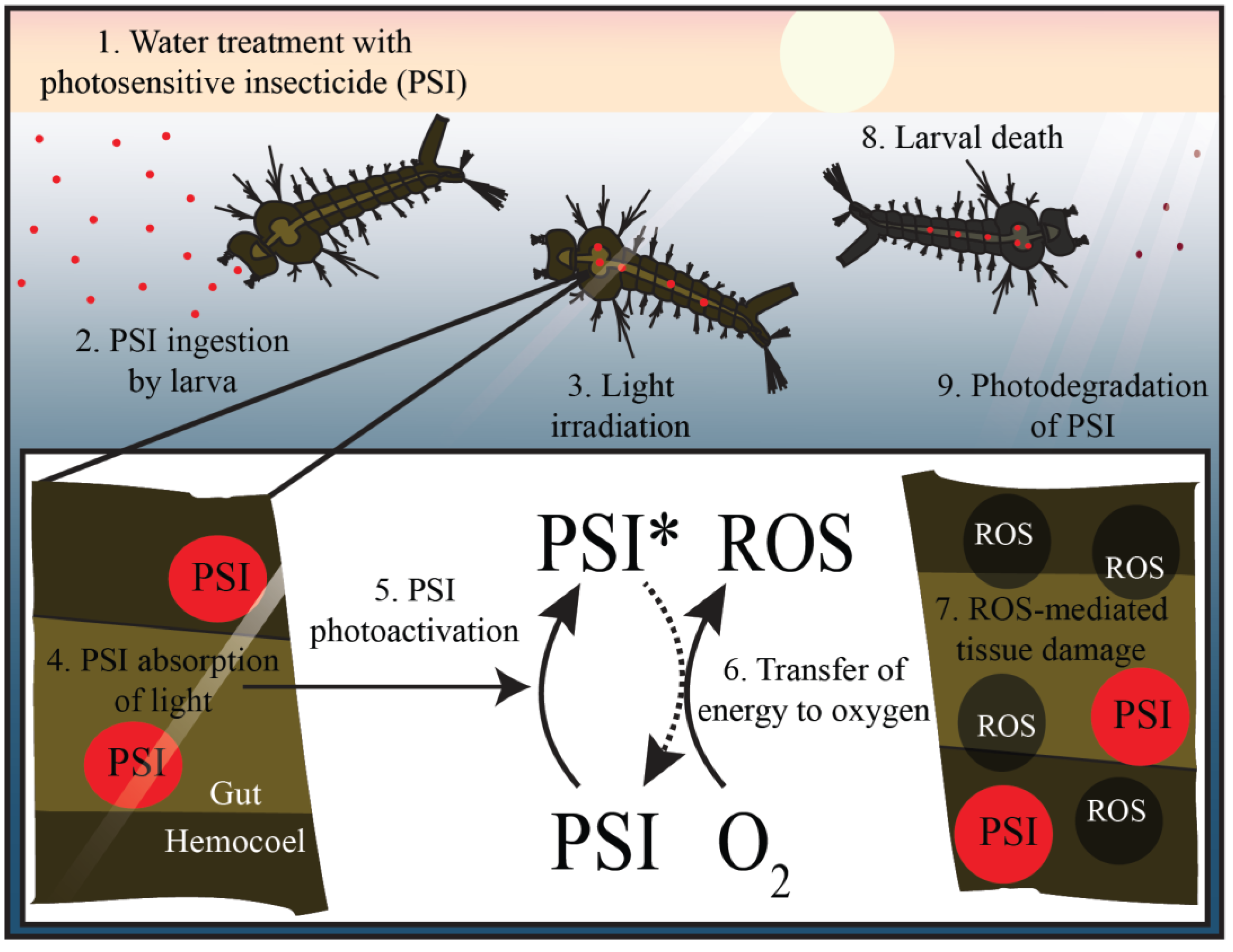 Insects 13 01093 g006 Insects 13 01093 g006