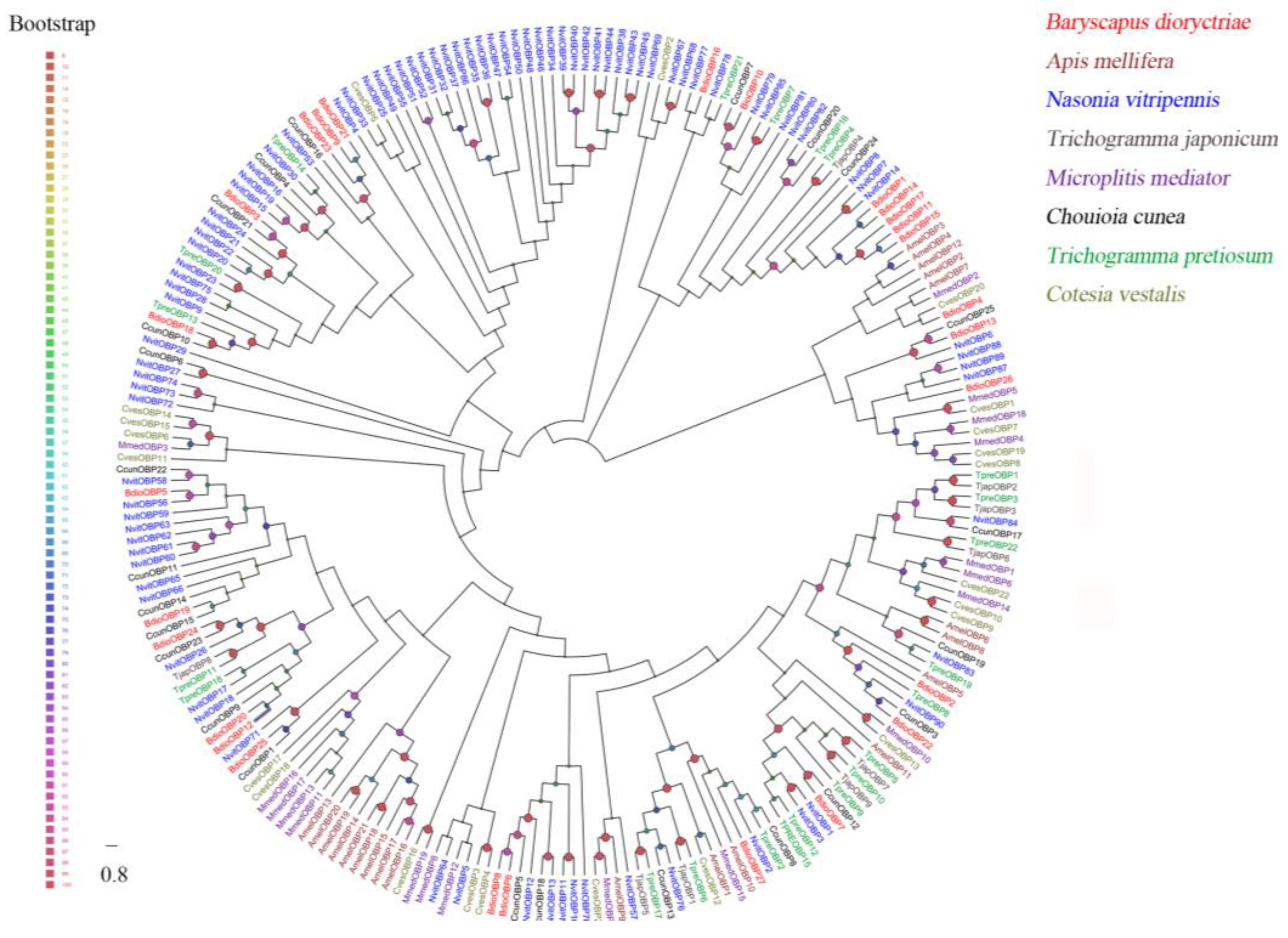 Insects 13 01098 g001 Insects 13 01098 g001