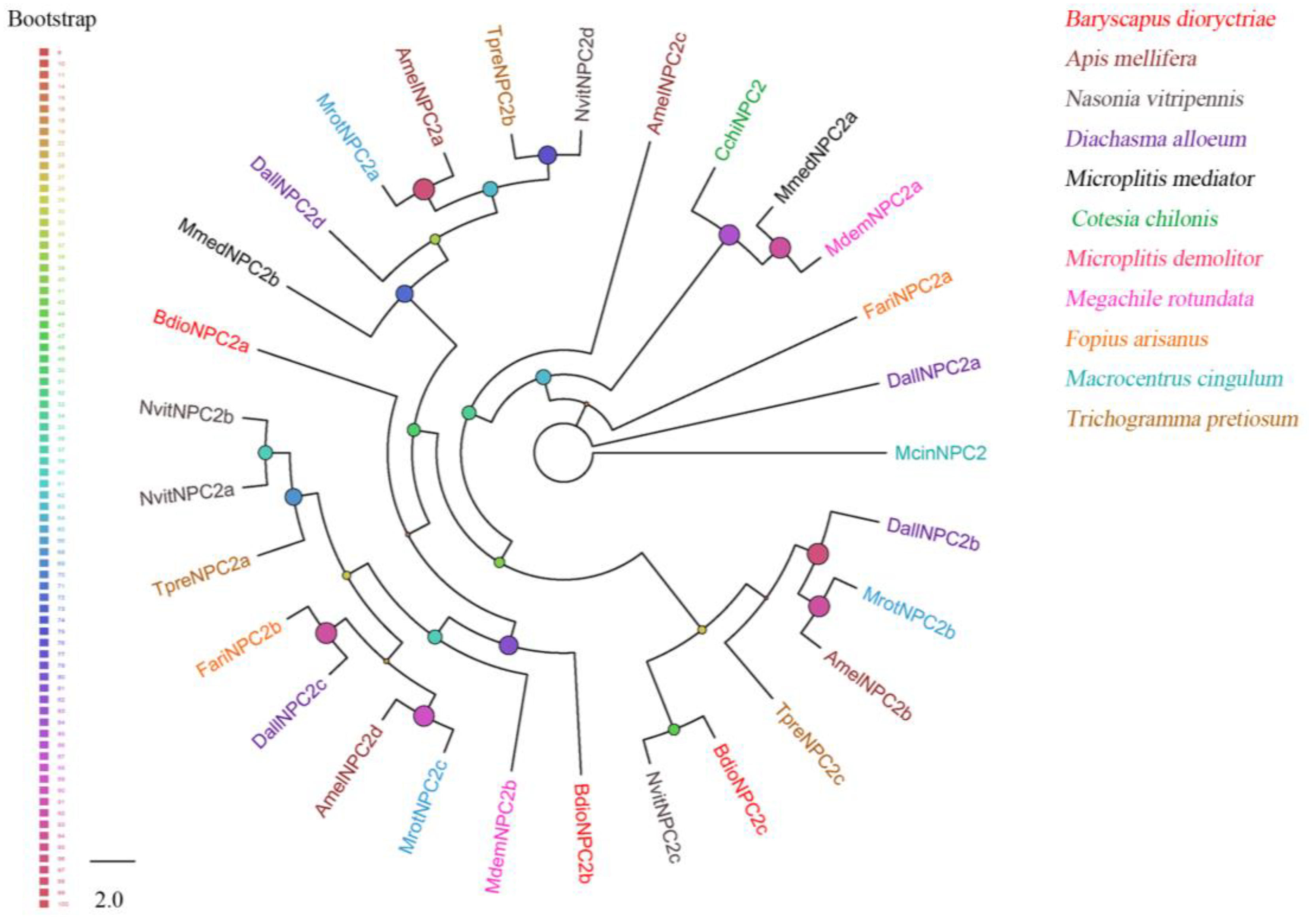 Insects 13 01098 g003 Insects 13 01098 g003