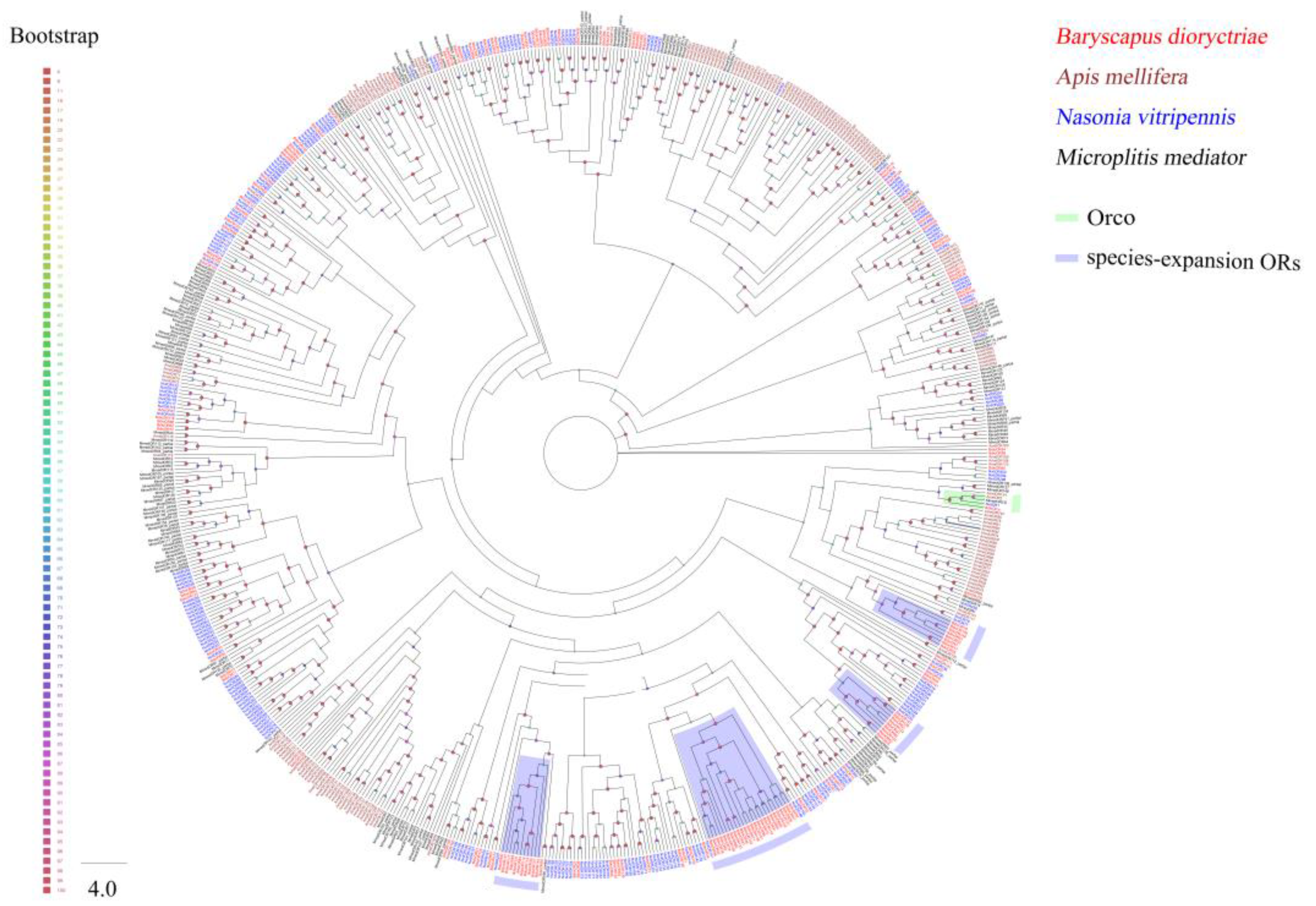 Insects 13 01098 g004 Insects 13 01098 g004