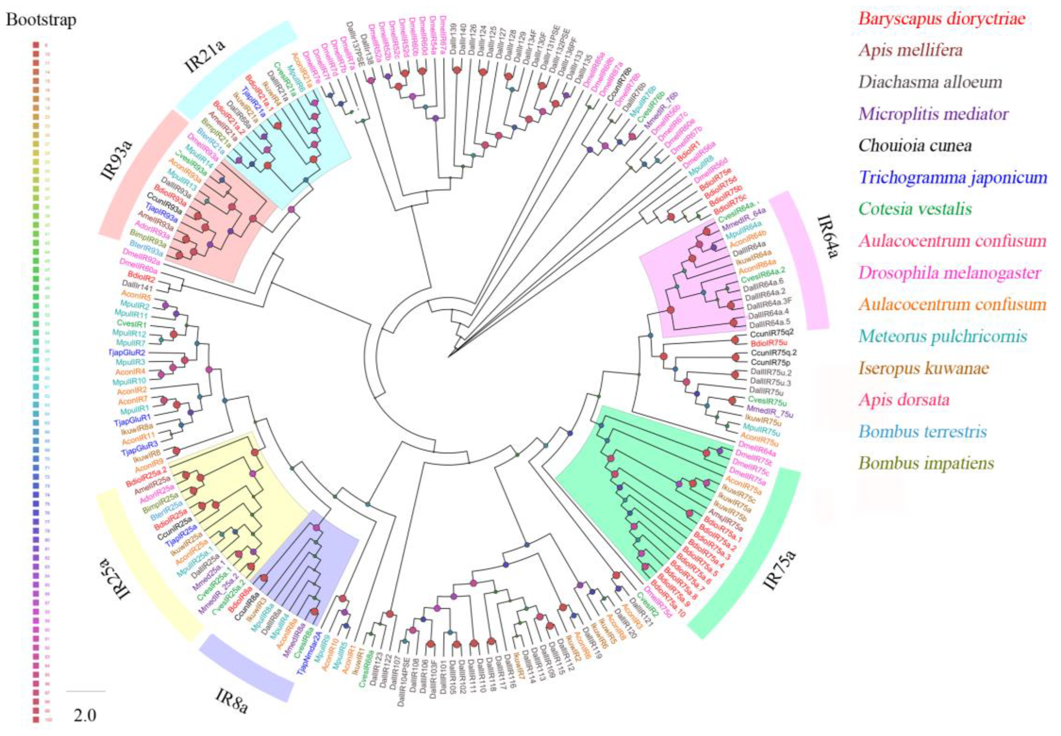 Insects 13 01098 g005 Insects 13 01098 g005