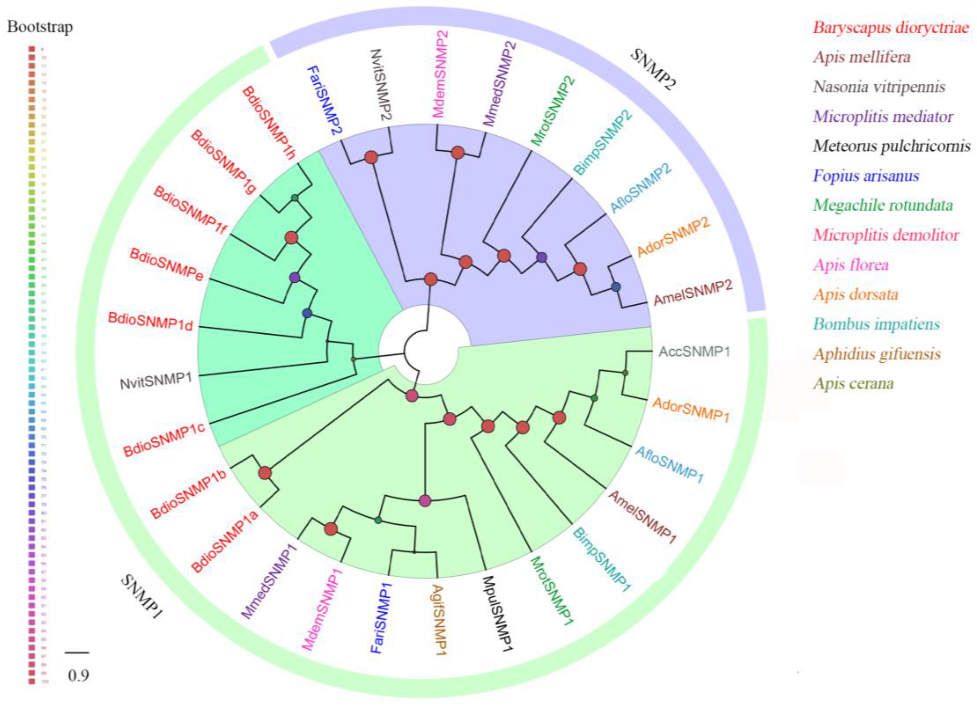 Insects 13 01098 g007 Insects 13 01098 g007