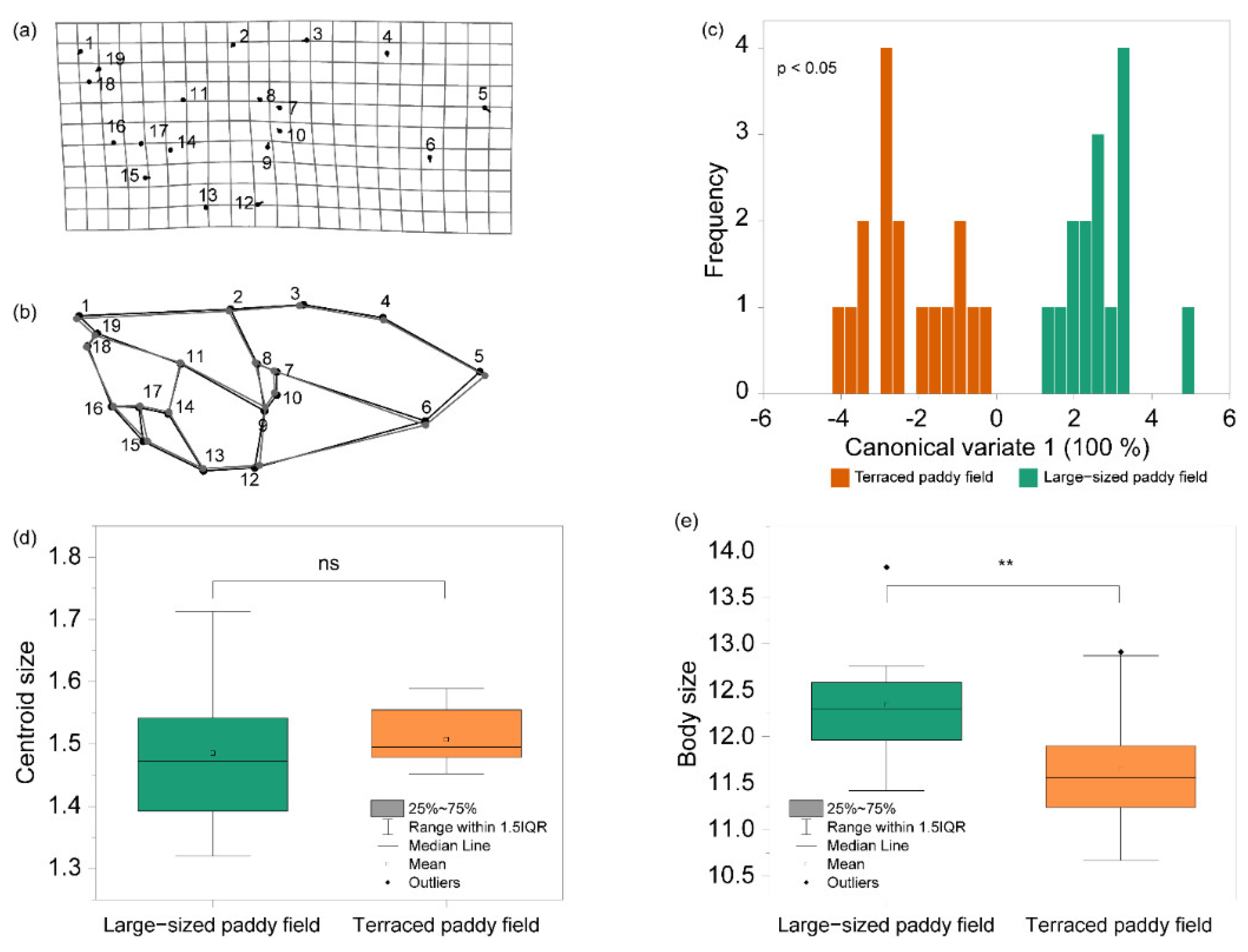 Insects 13 01099 g004