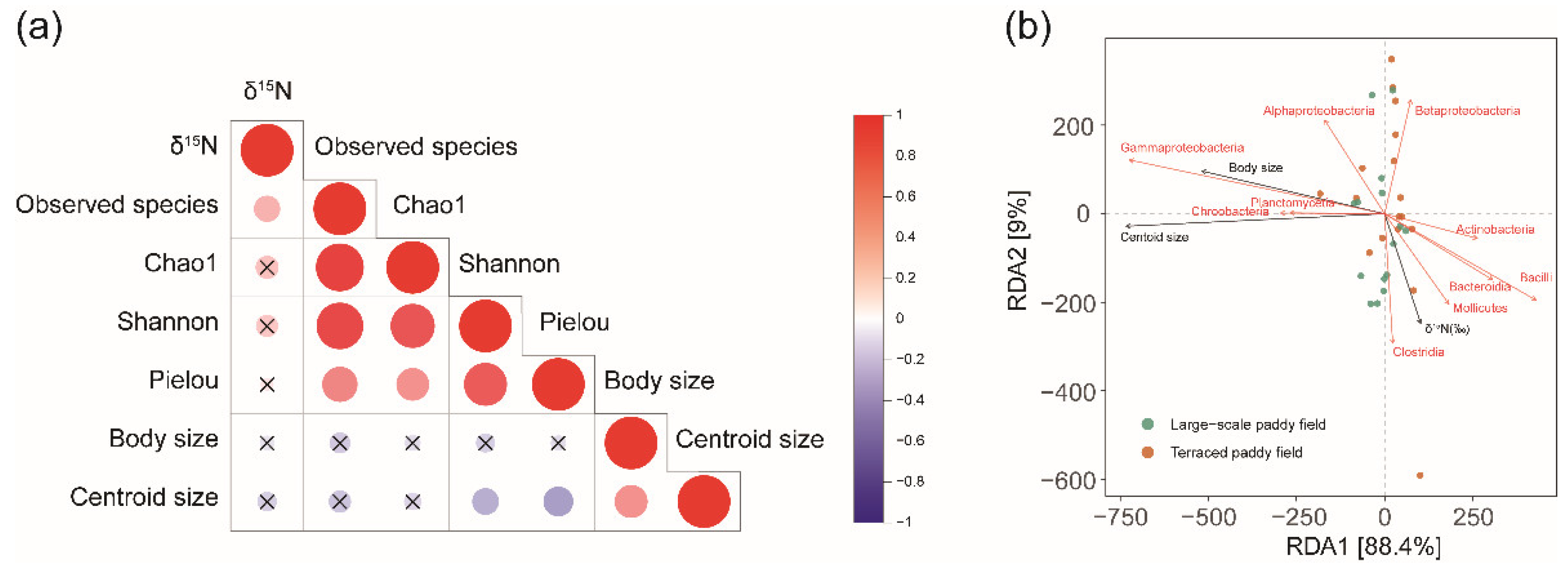 Insects 13 01099 g008