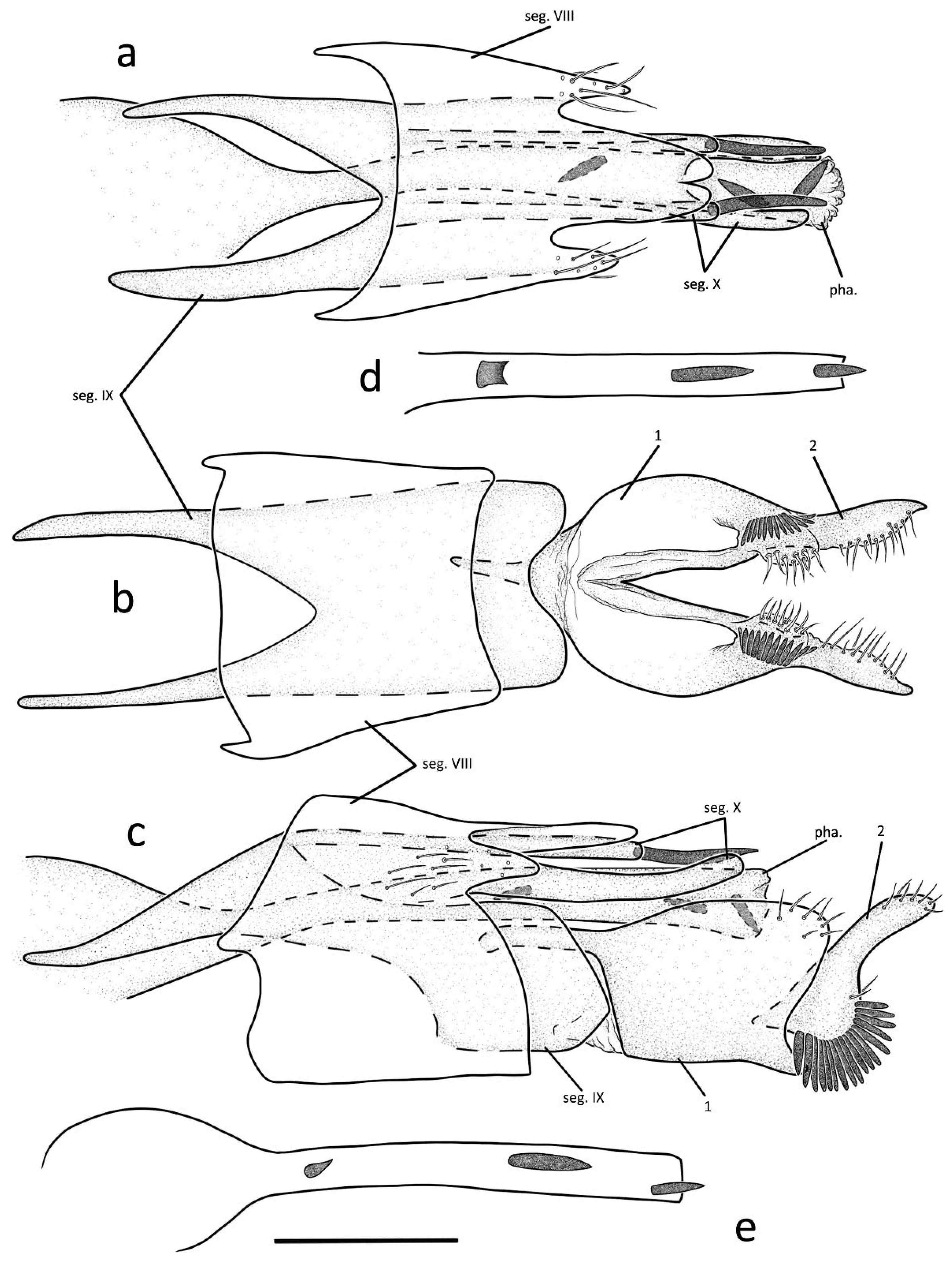Insects 13 01101 g003