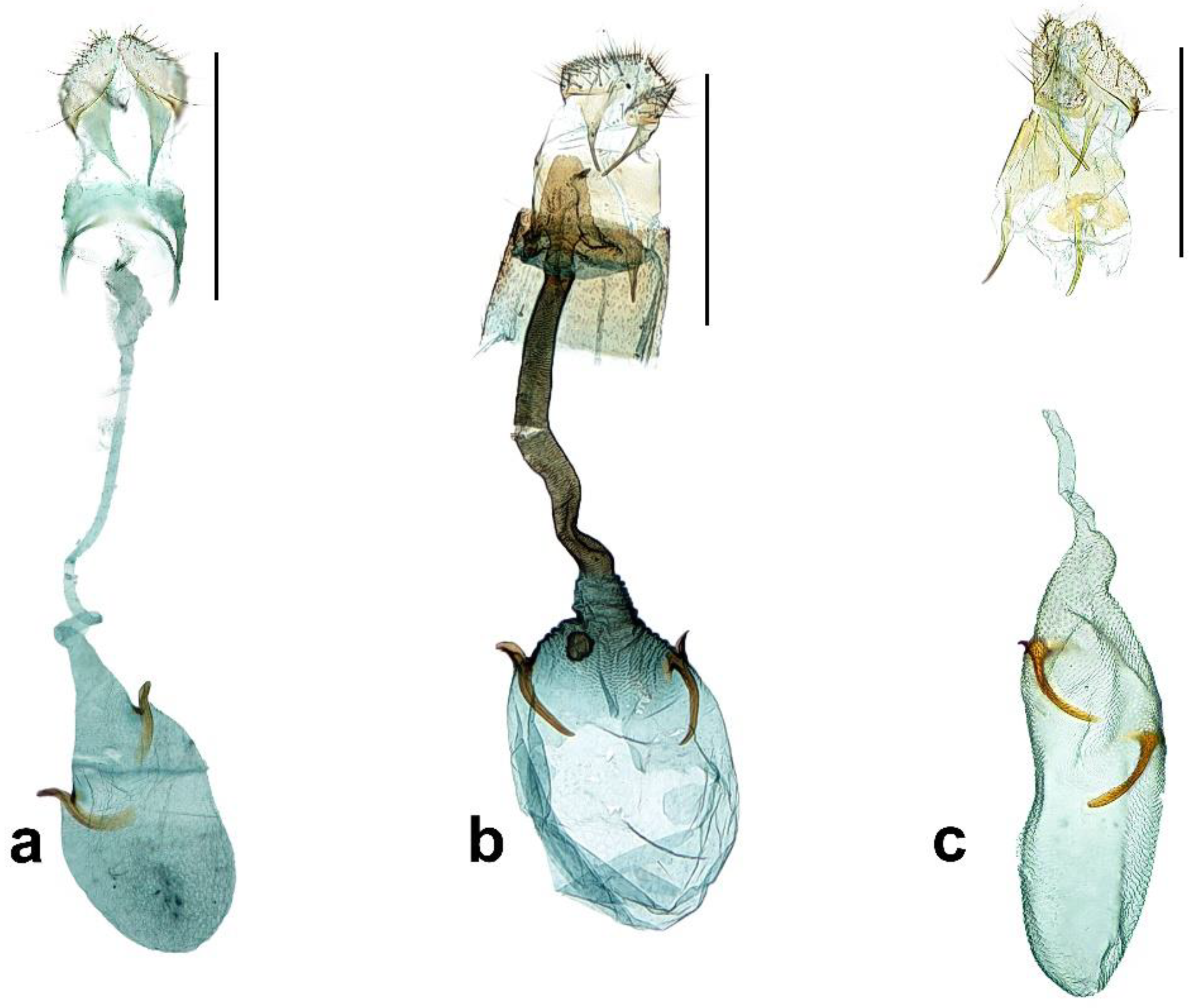 Insects 13 01107 g003 Insects 13 01107 g003