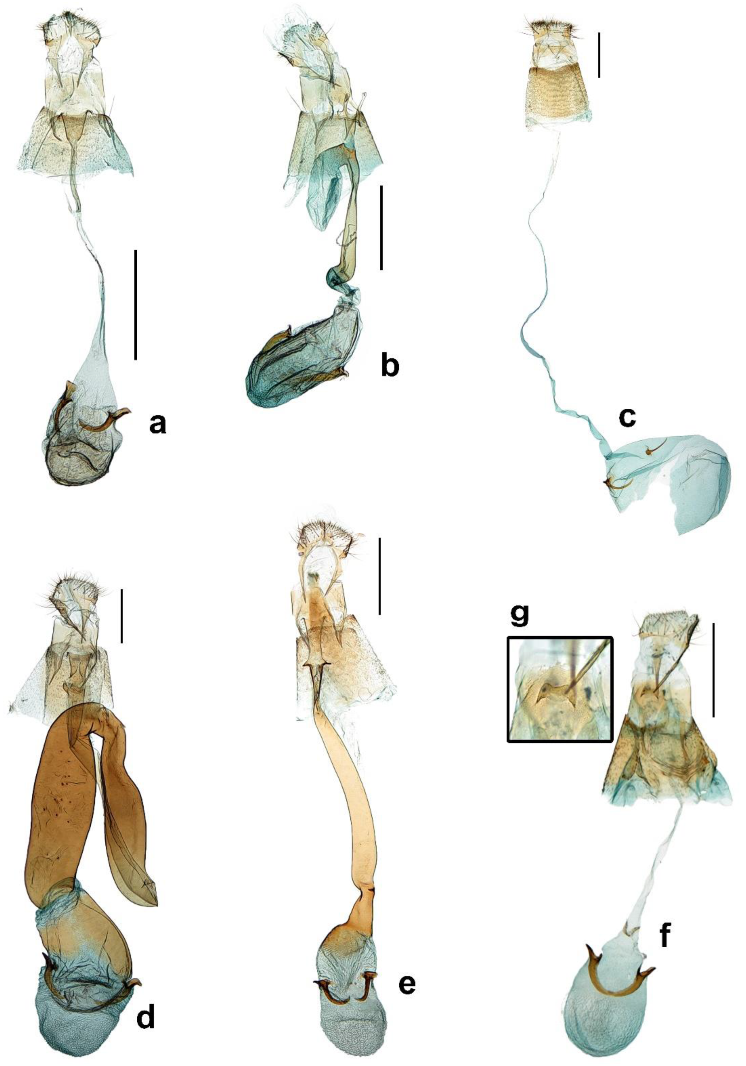 Insects 13 01107 g005 Insects 13 01107 g005