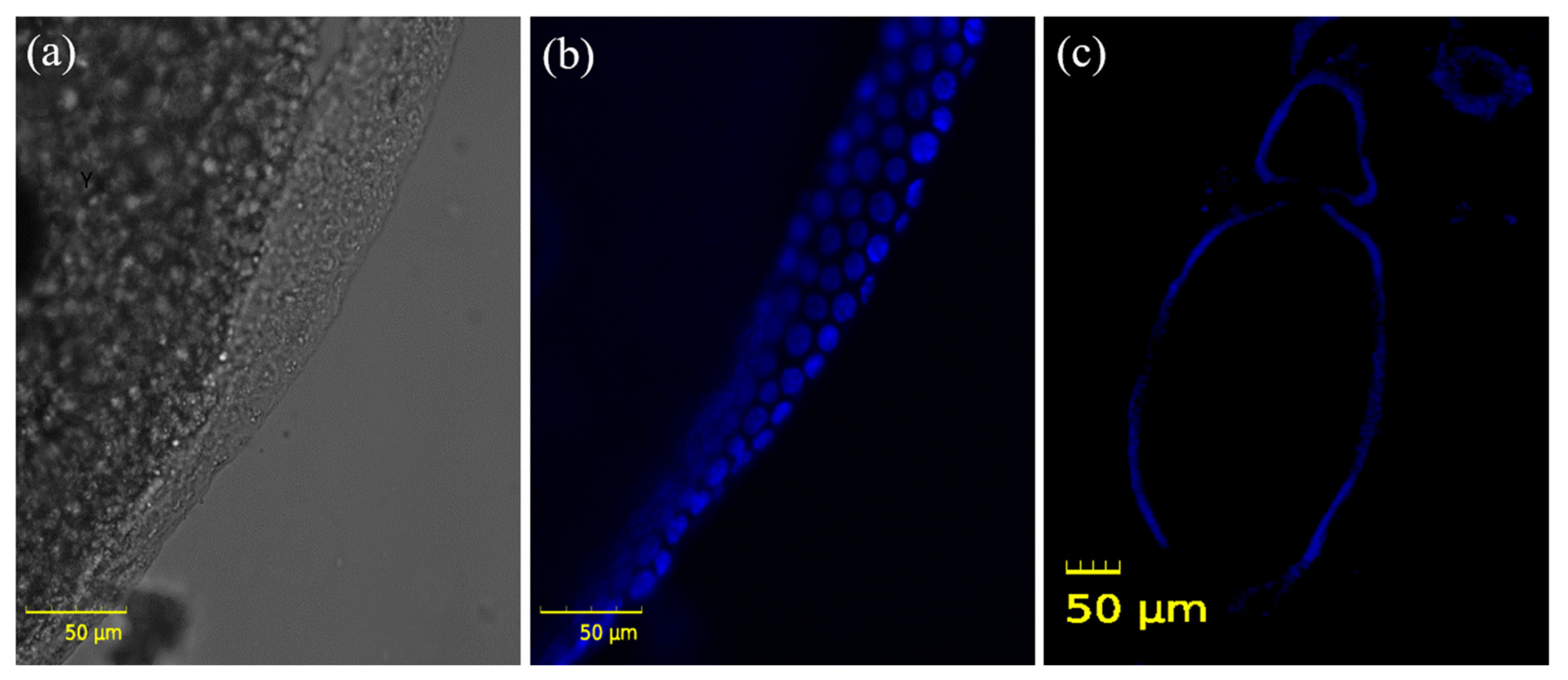 Insects 13 01108 g004 Insects 13 01108 g004