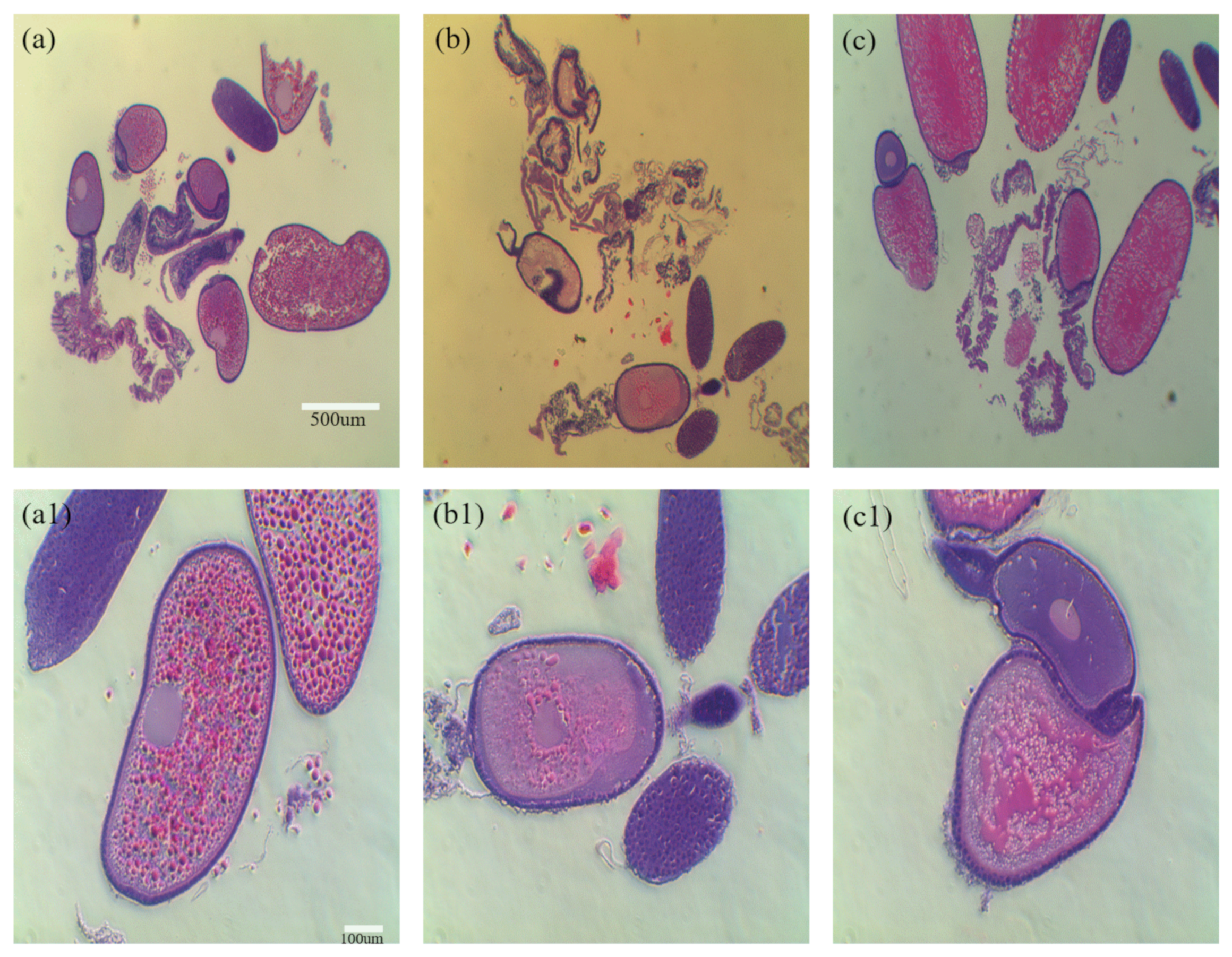 Insects 13 01108 g007 Insects 13 01108 g007