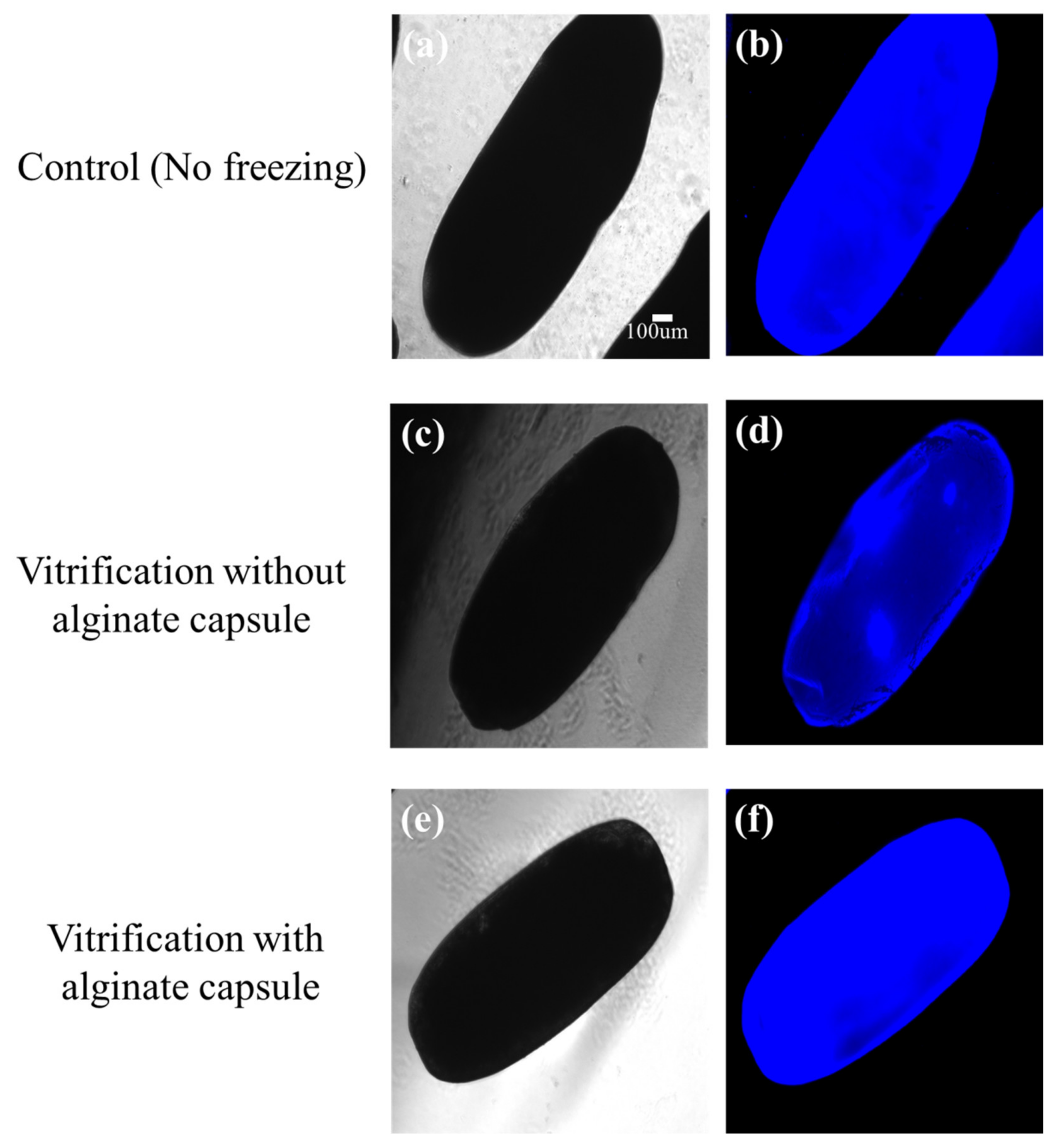 Insects 13 01108 g009 Insects 13 01108 g009