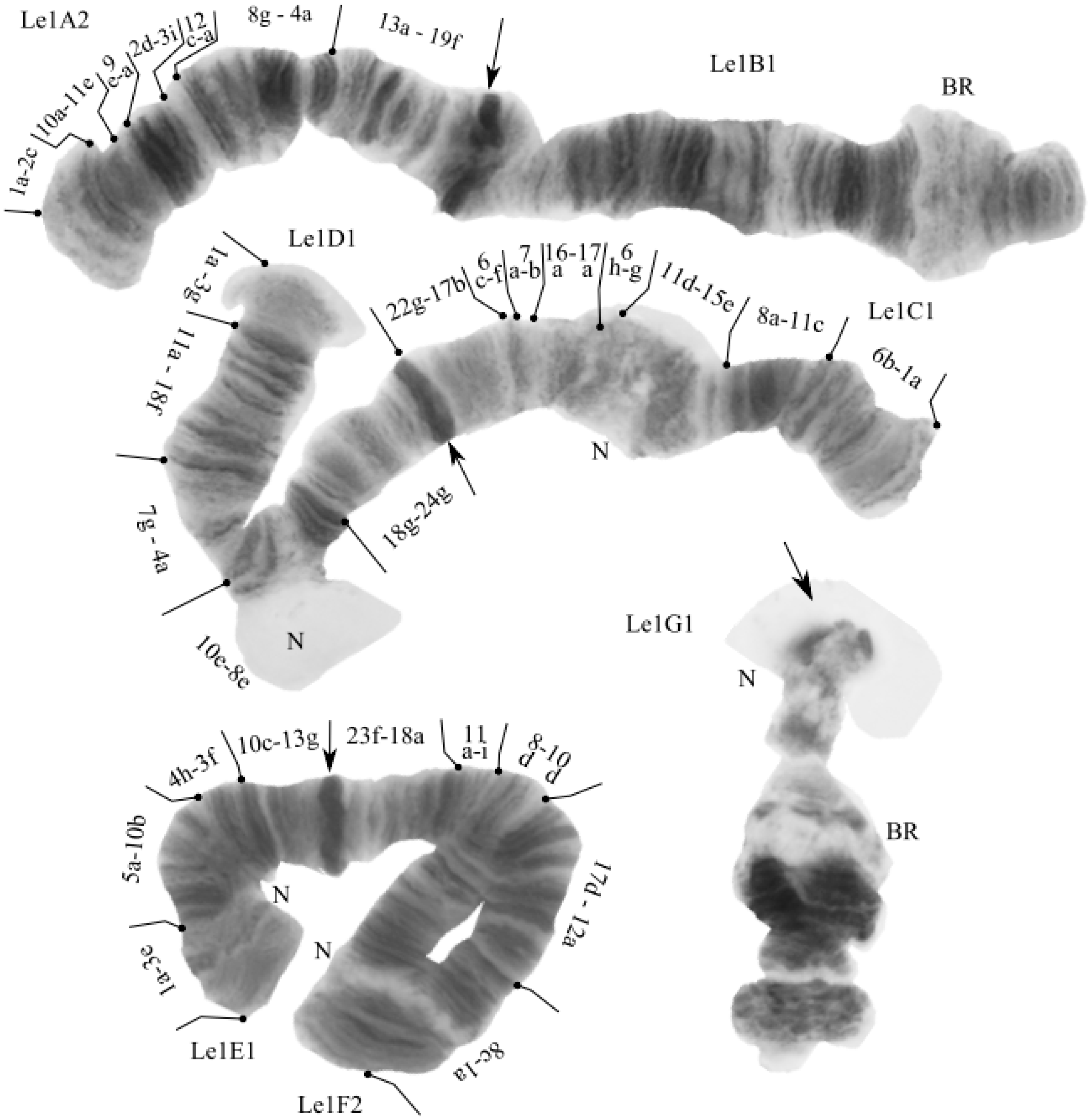 Insects 13 01112 g003