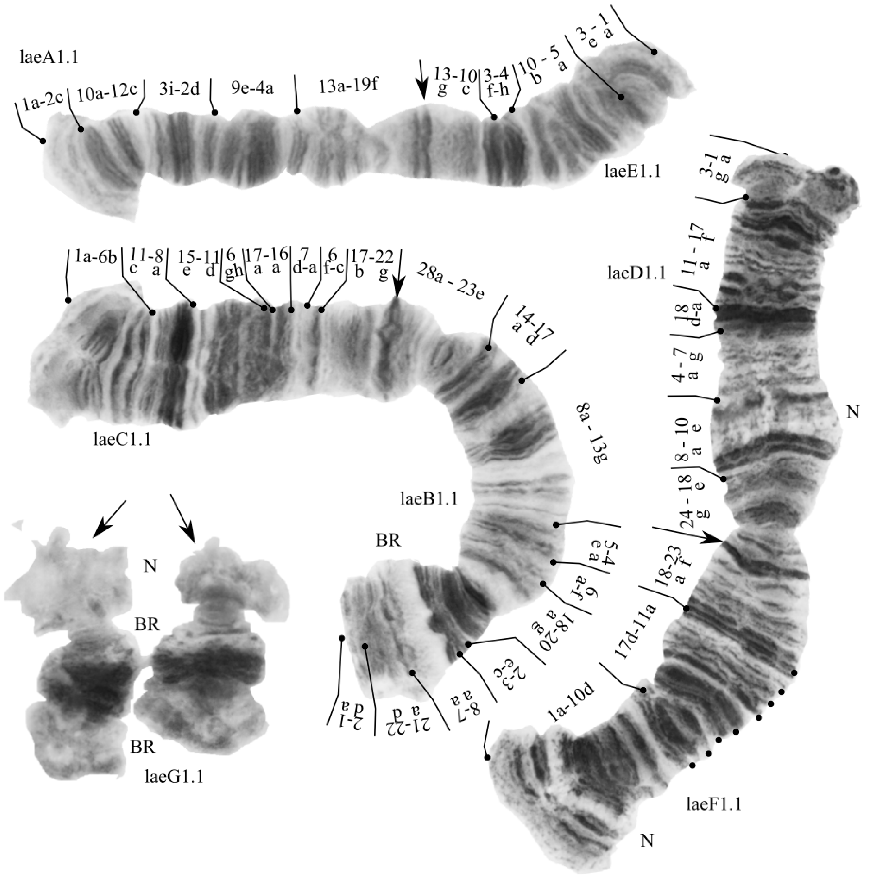 Insects 13 01112 g004