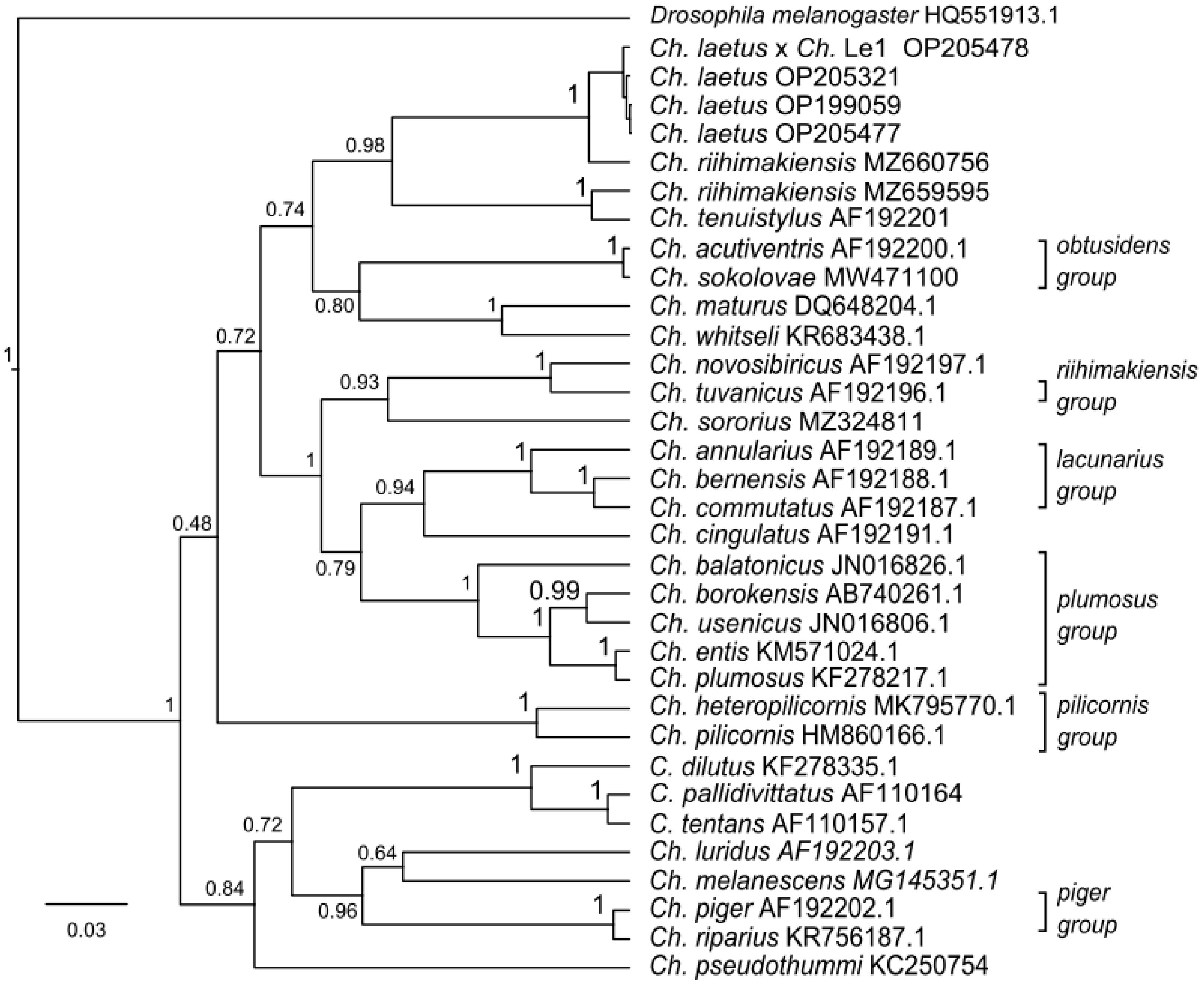 Insects 13 01112 g006