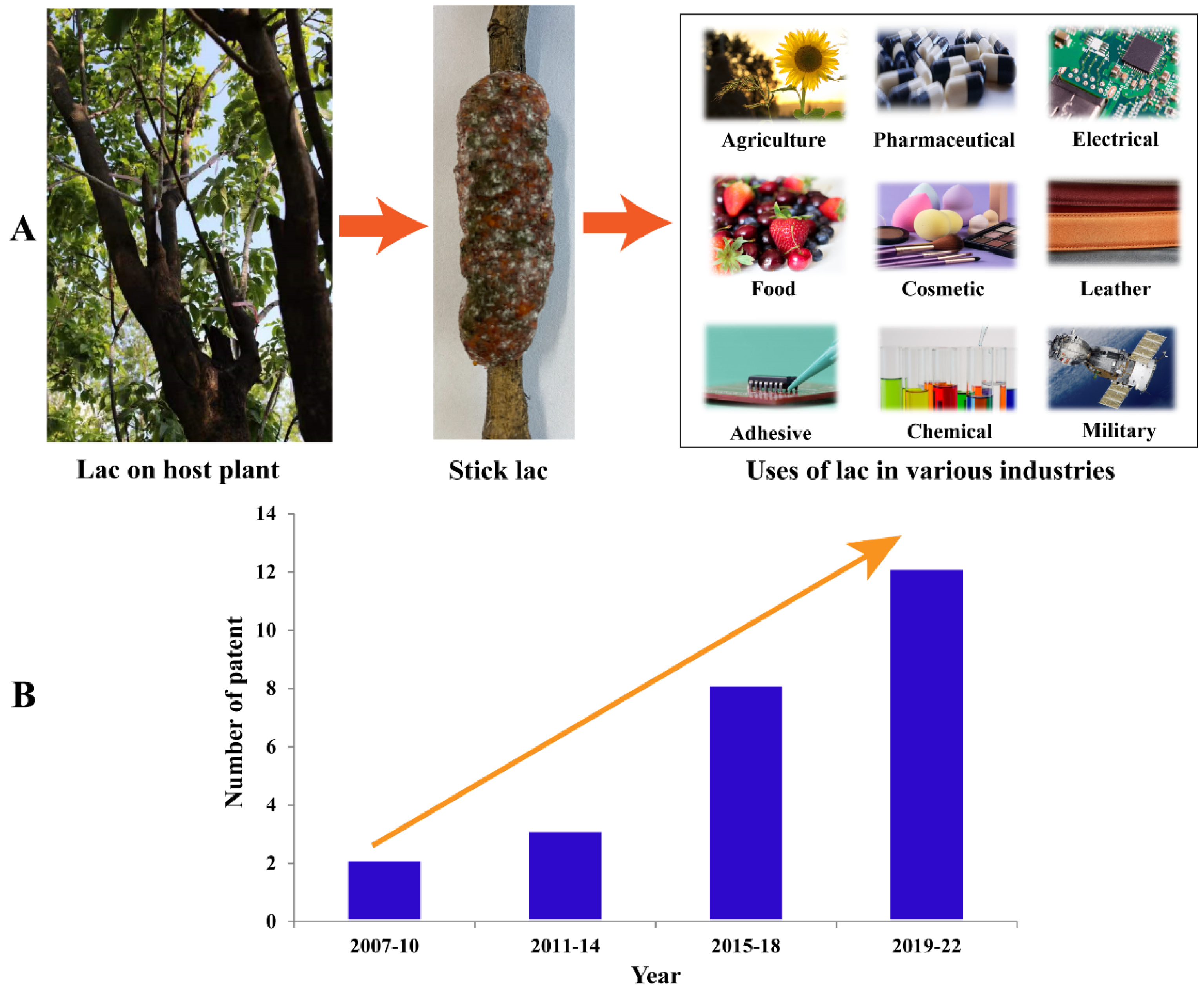 Insects 13 01117 g004 Insects 13 01117 g004