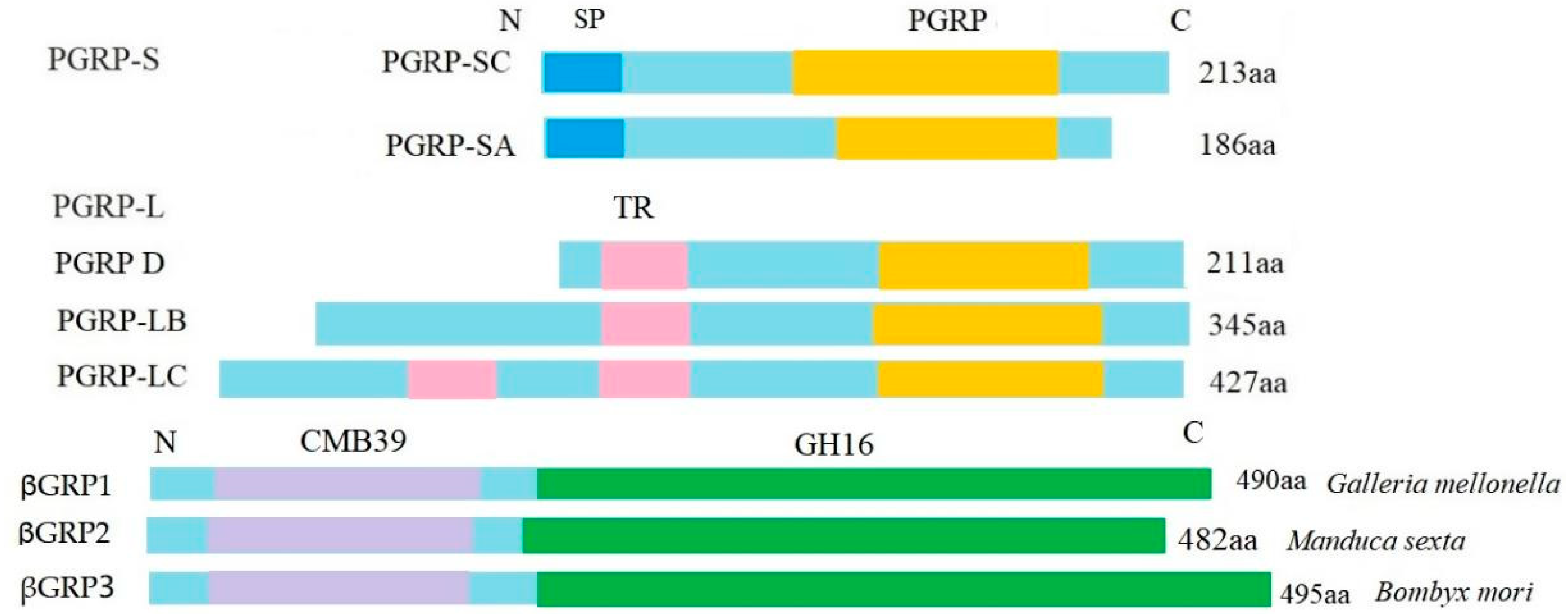 Insects 13 01119 g006 Insects 13 01119 g006