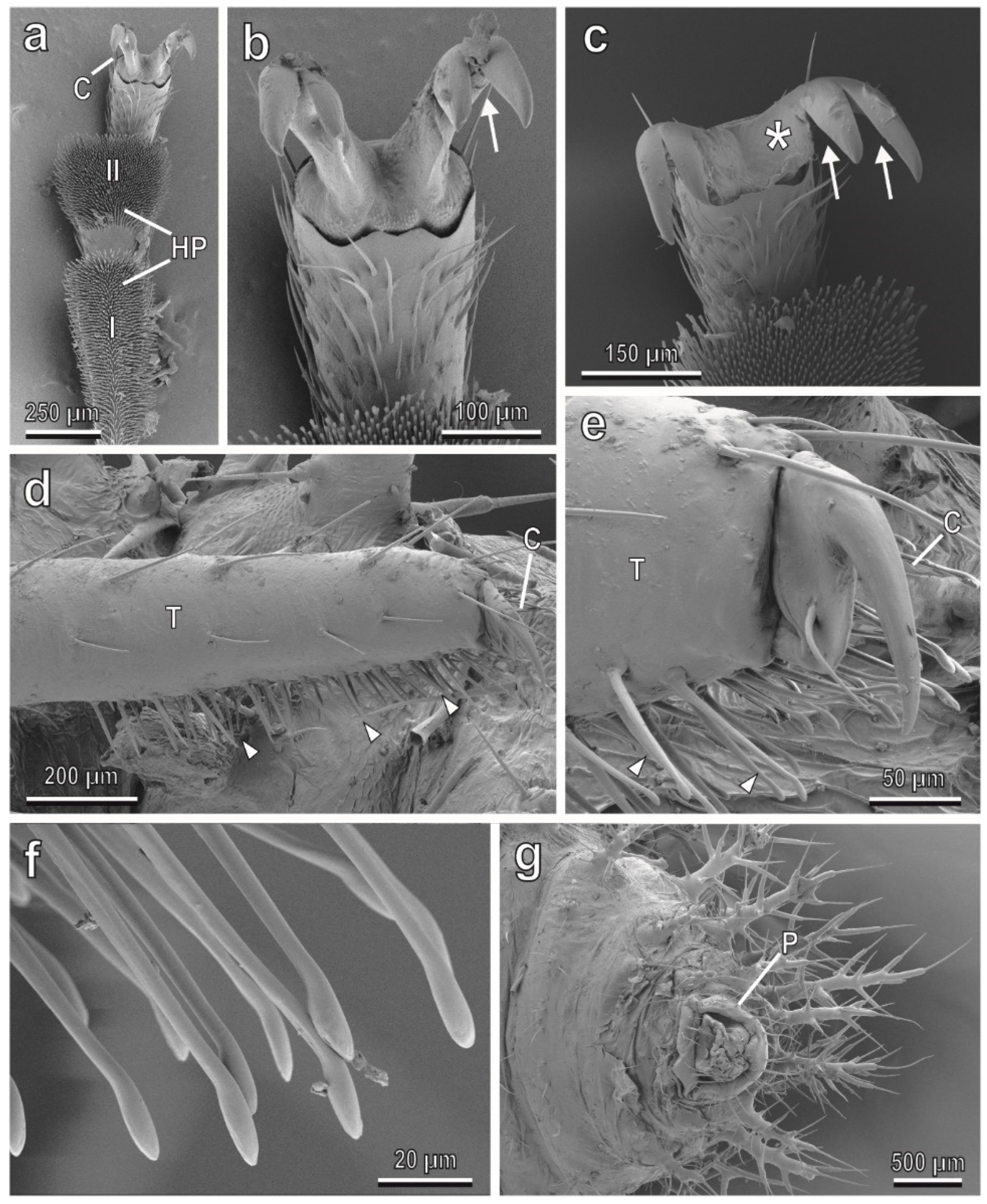 Insects 13 01123 g001 Insects 13 01123 g001