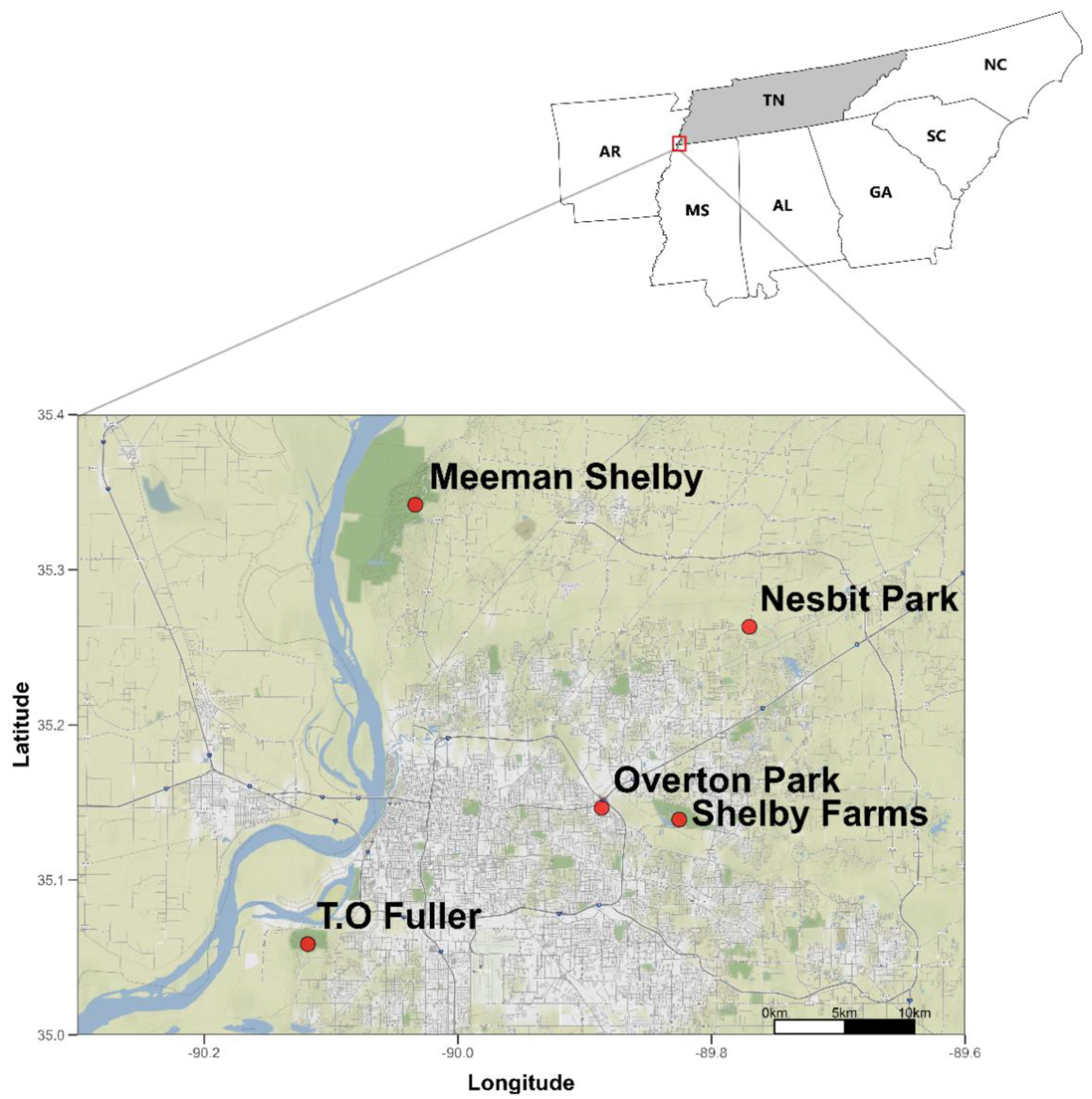 Insects 13 01129 g001