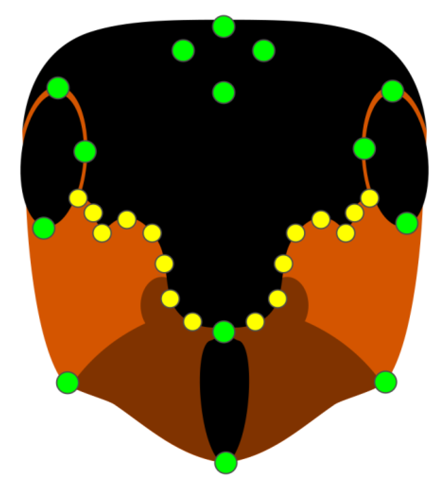 Insects 13 01137 g002 Insects 13 01137 g002