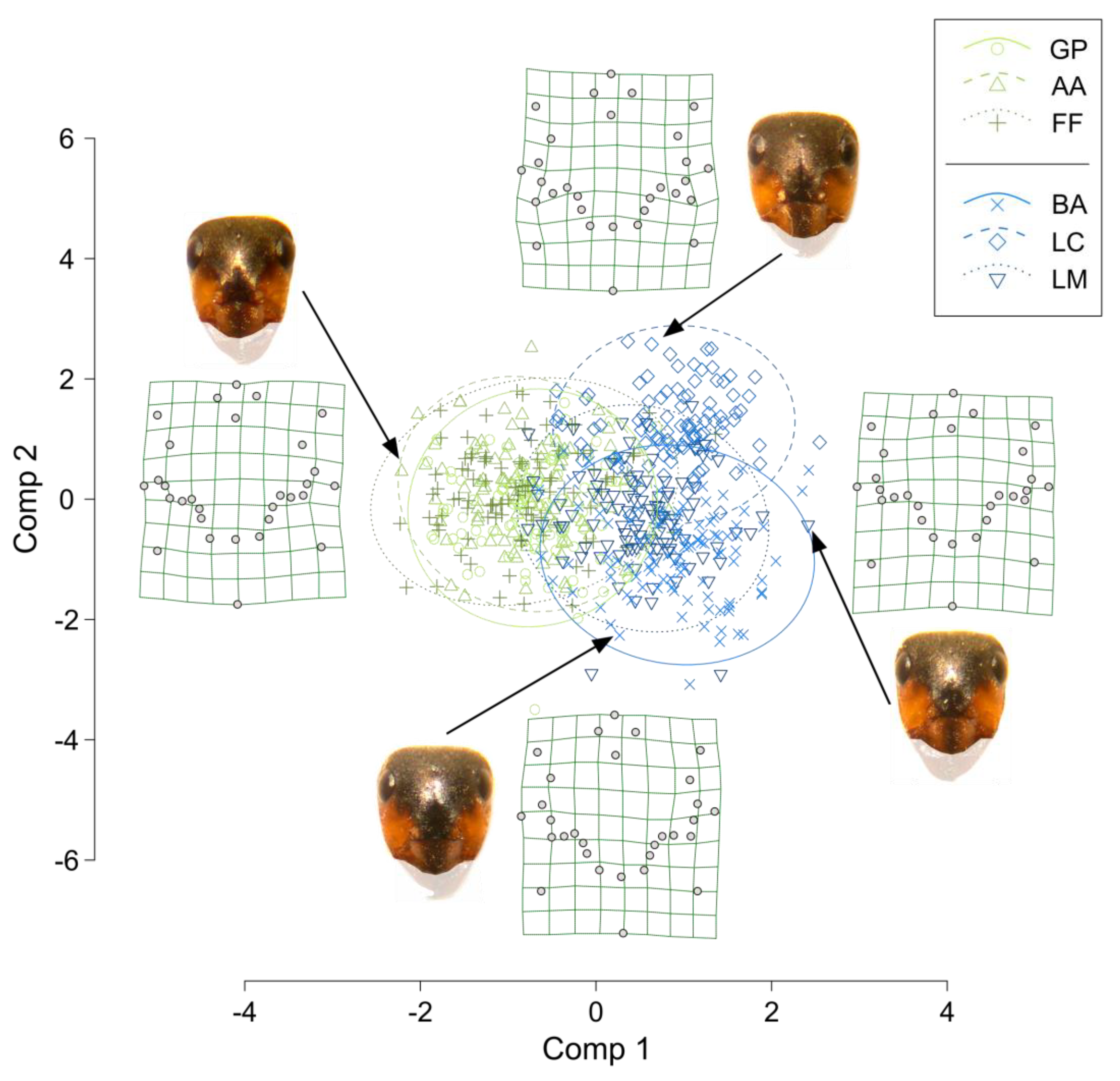Insects 13 01137 g003 Insects 13 01137 g003