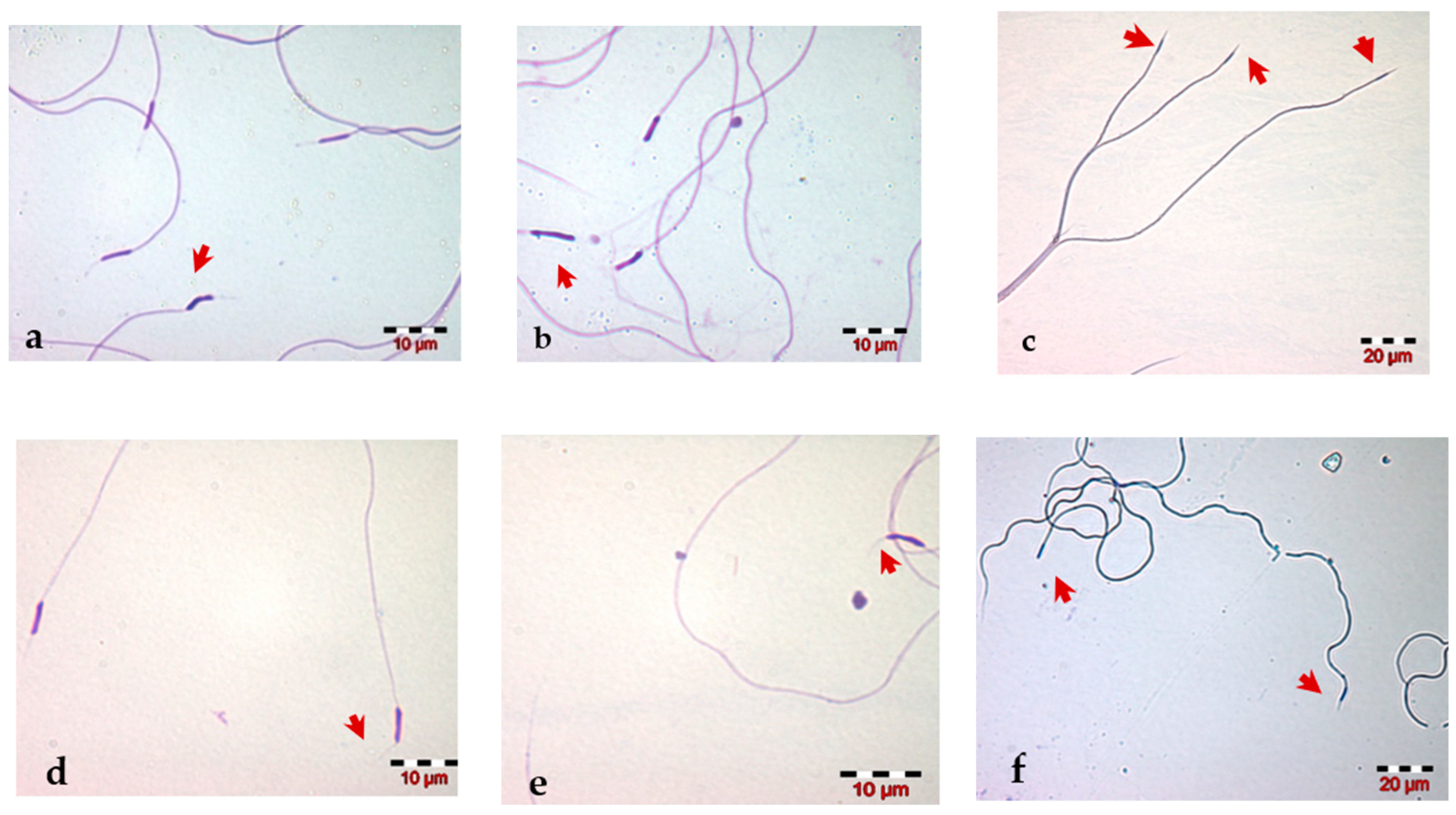Insects 13 01141 g003