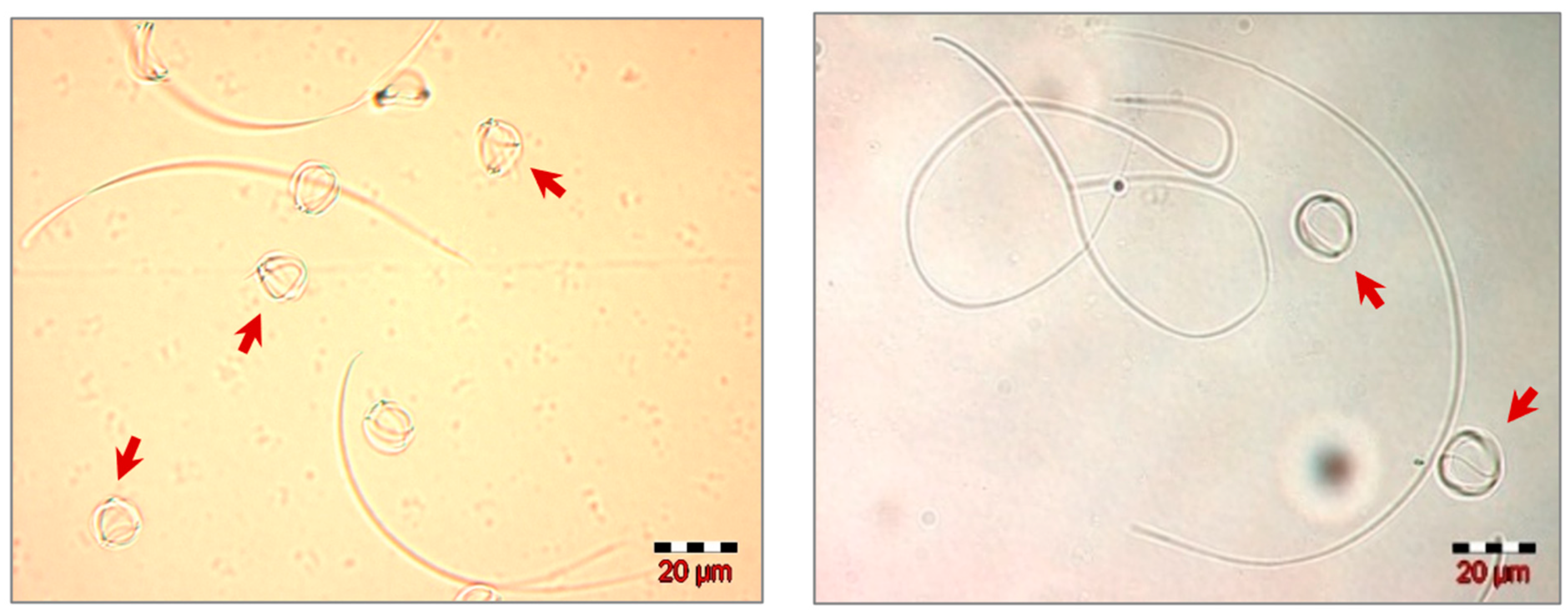 Insects 13 01141 g005