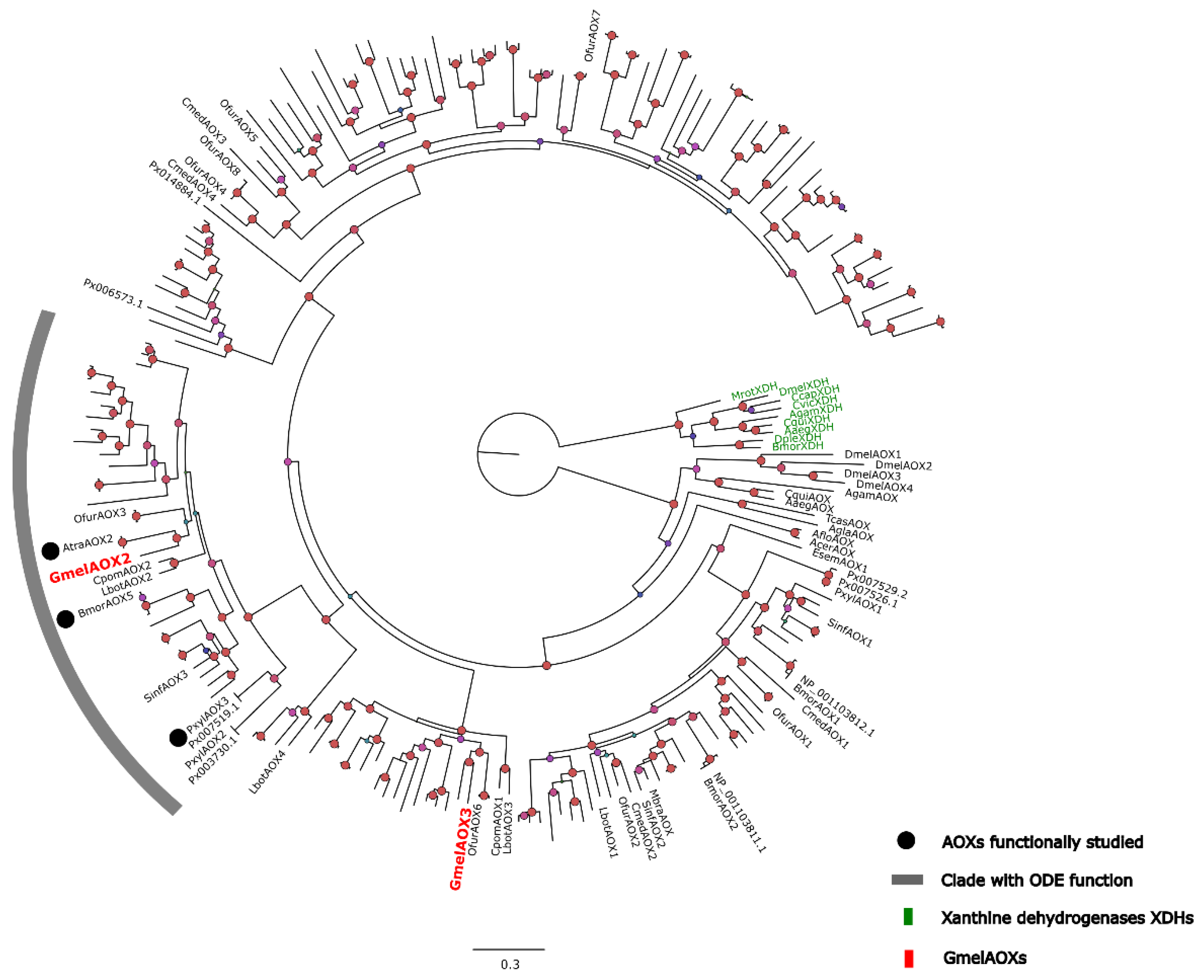 Insects 13 01143 g001 Insects 13 01143 g001
