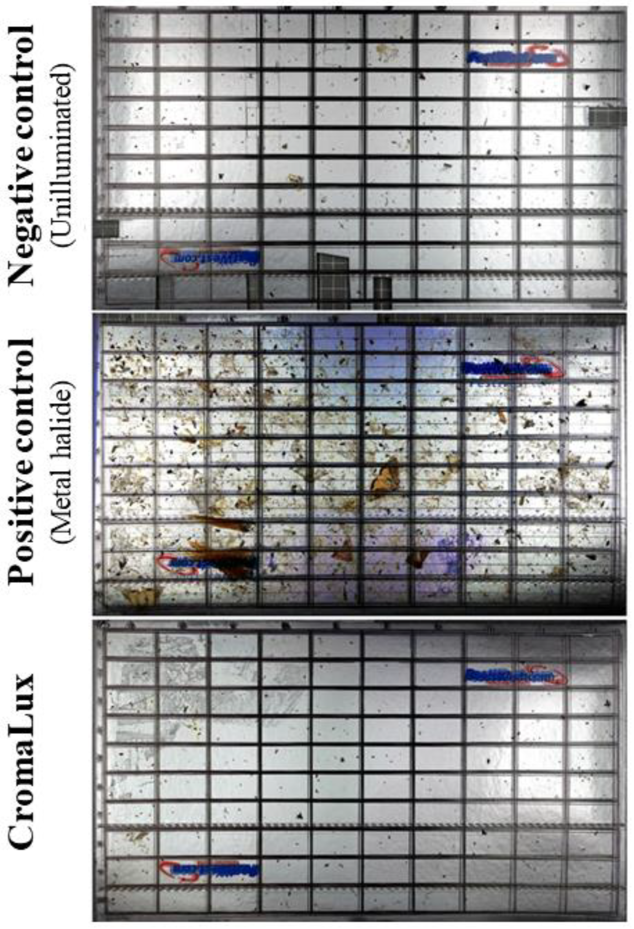 Insects 13 01153 g005 Insects 13 01153 g005