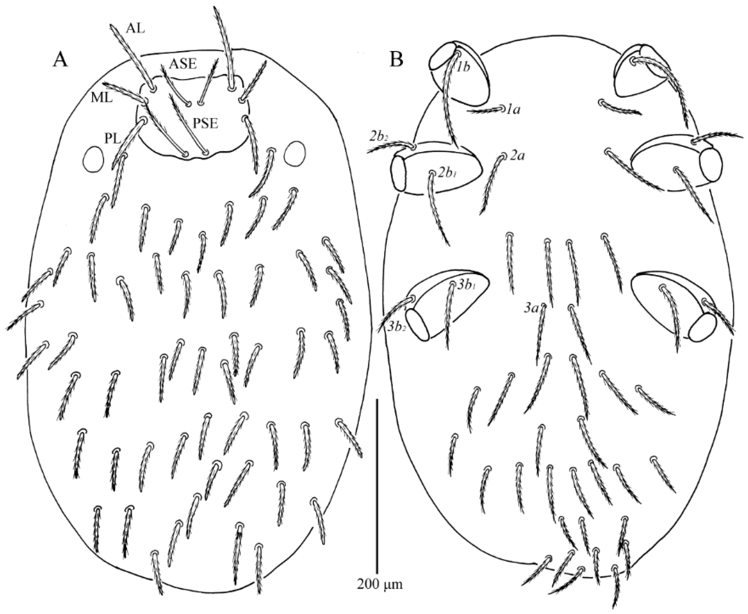 Insects 13 01154 g001