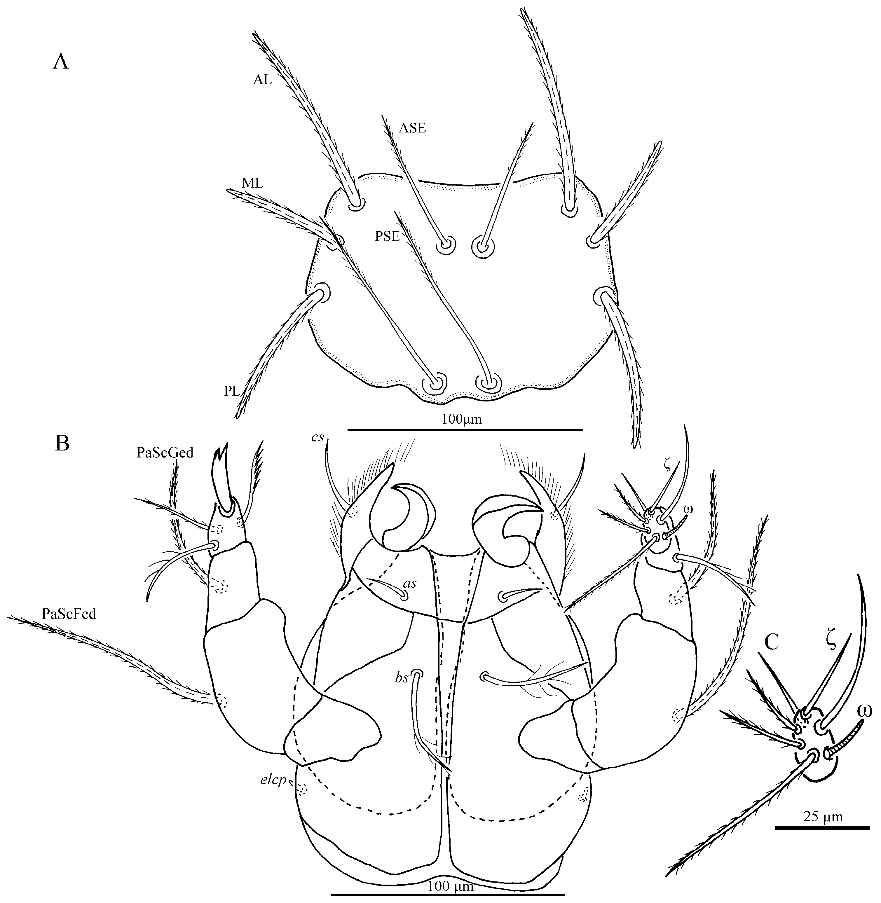 Insects 13 01154 g002