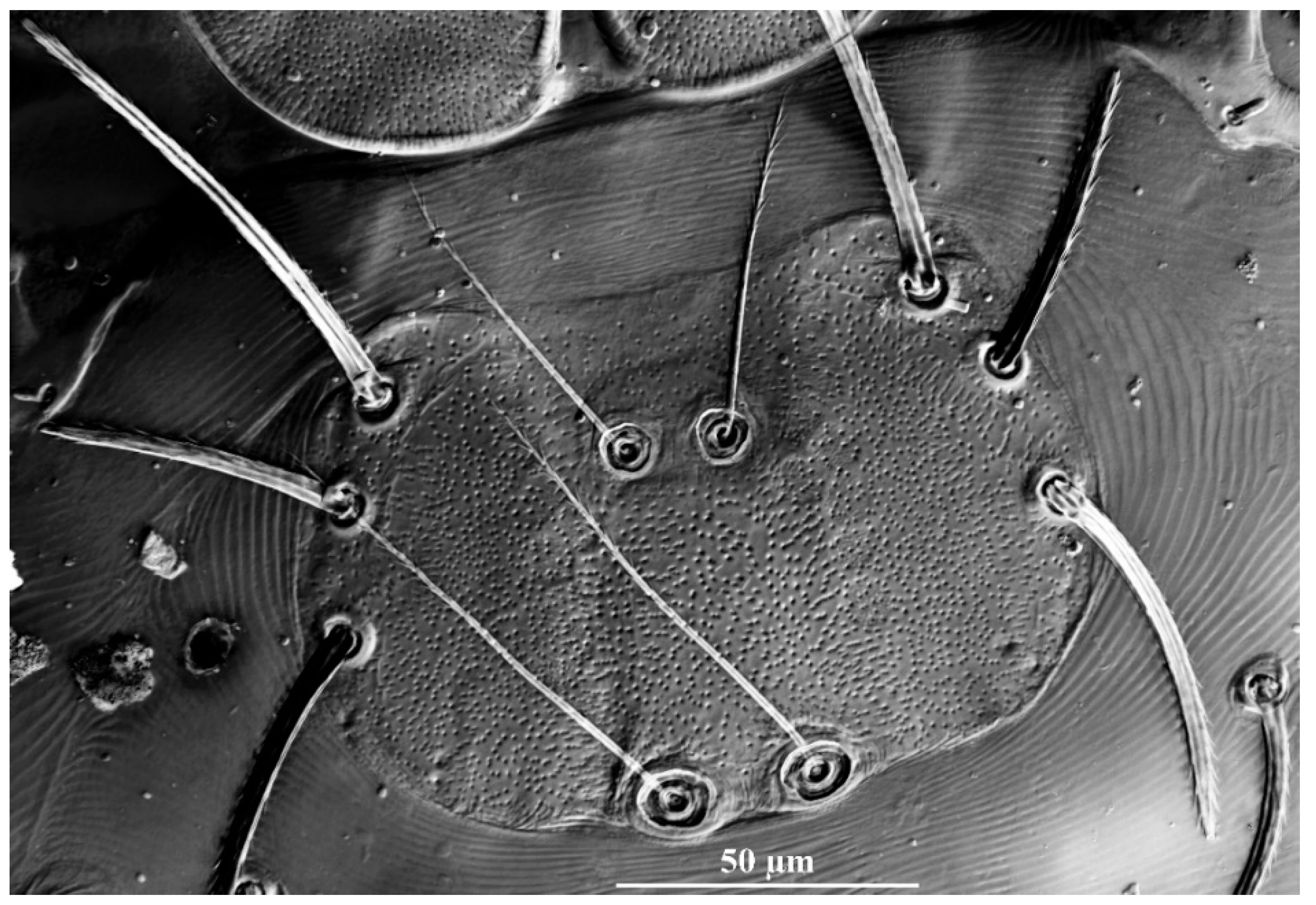 Insects 13 01154 g003