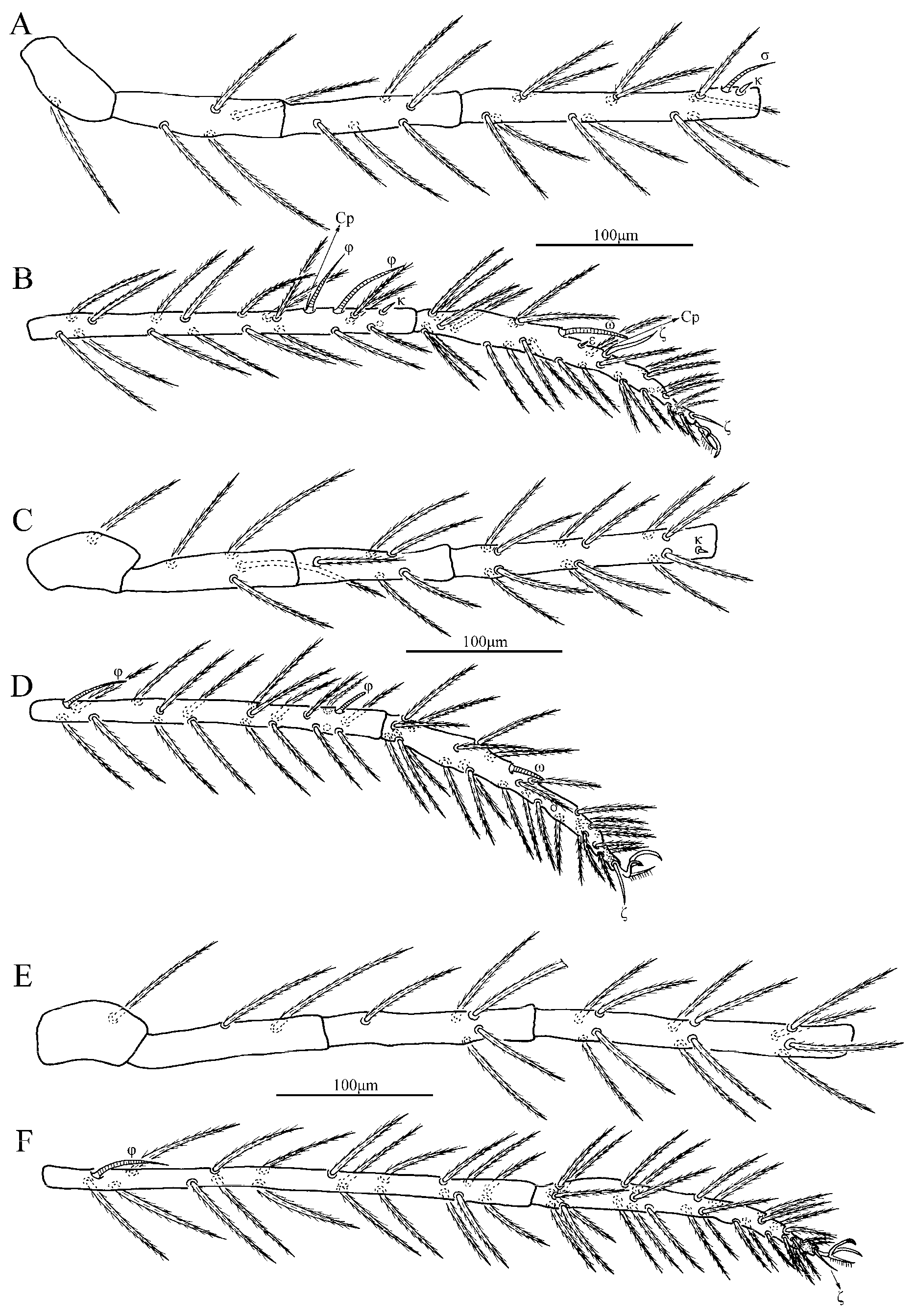 Insects 13 01154 g004