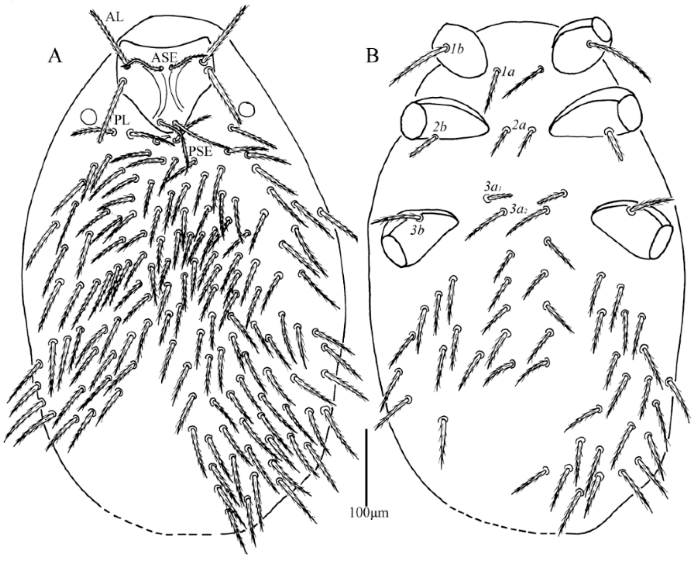 Insects 13 01154 g006