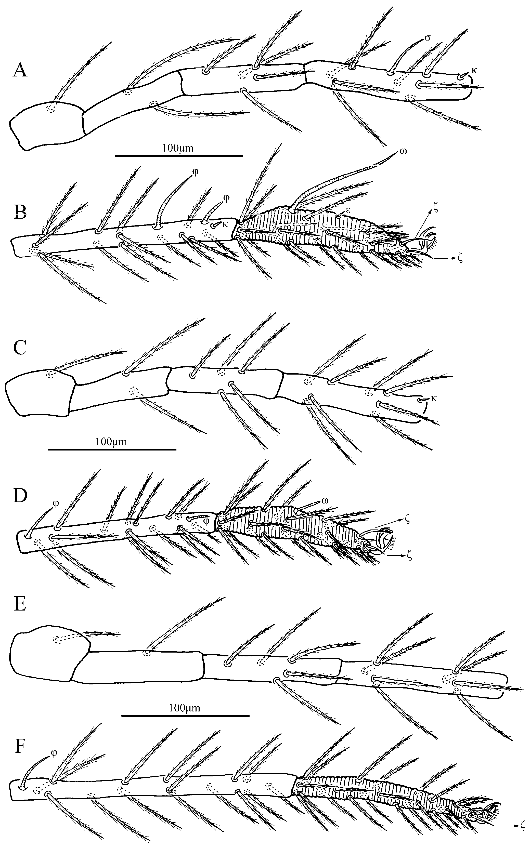 Insects 13 01154 g014