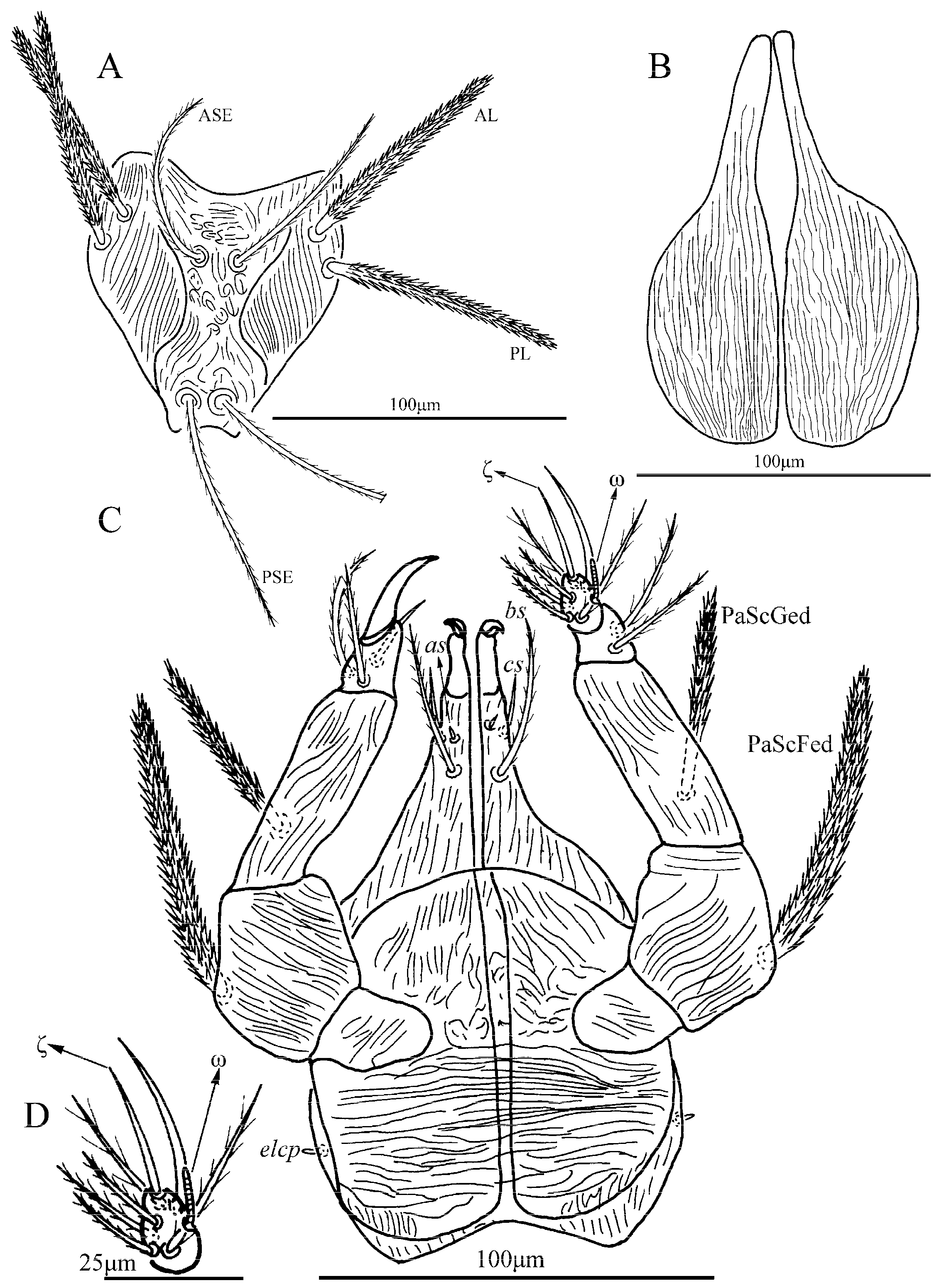 Insects 13 01154 g018