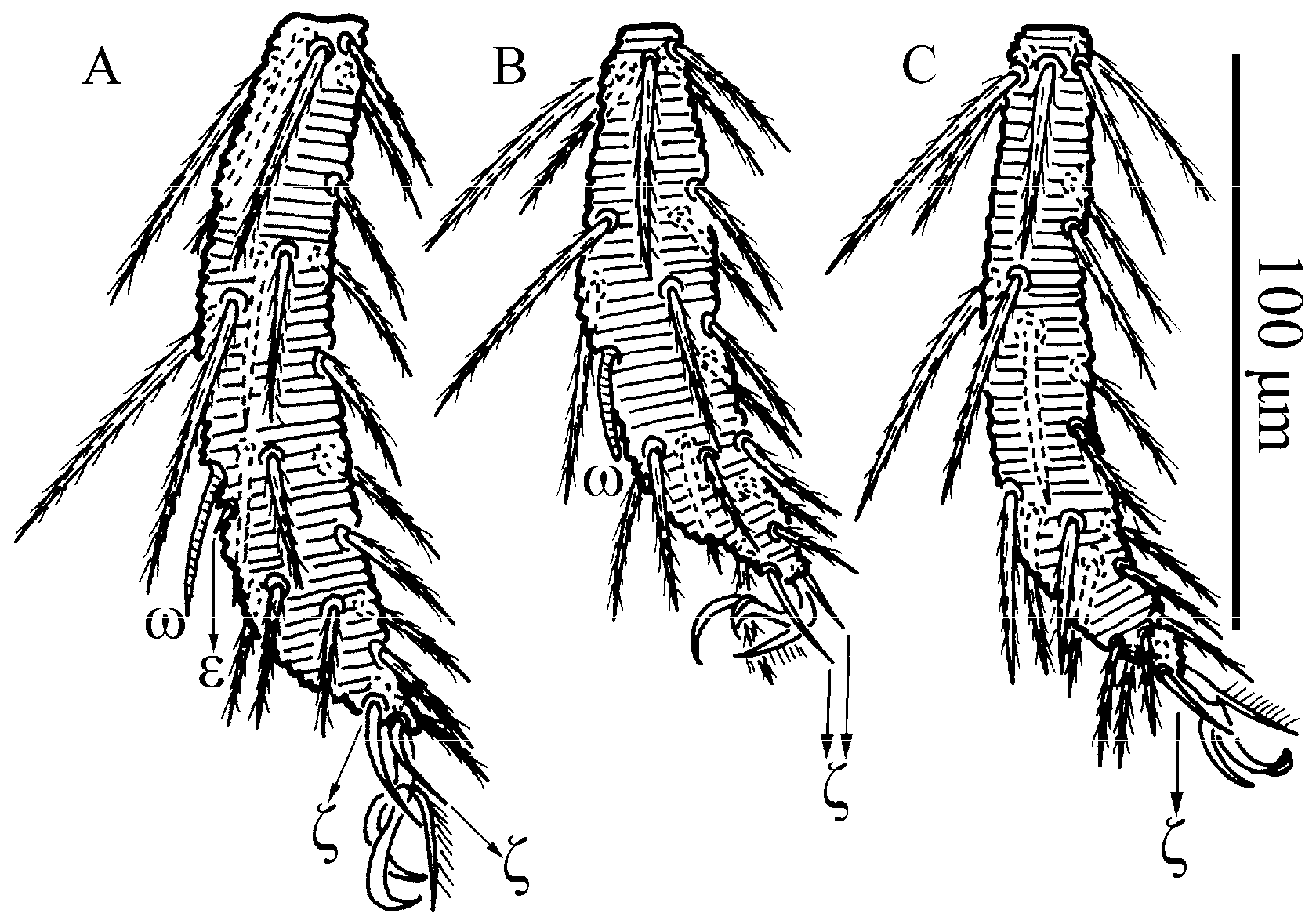 Insects 13 01154 g021