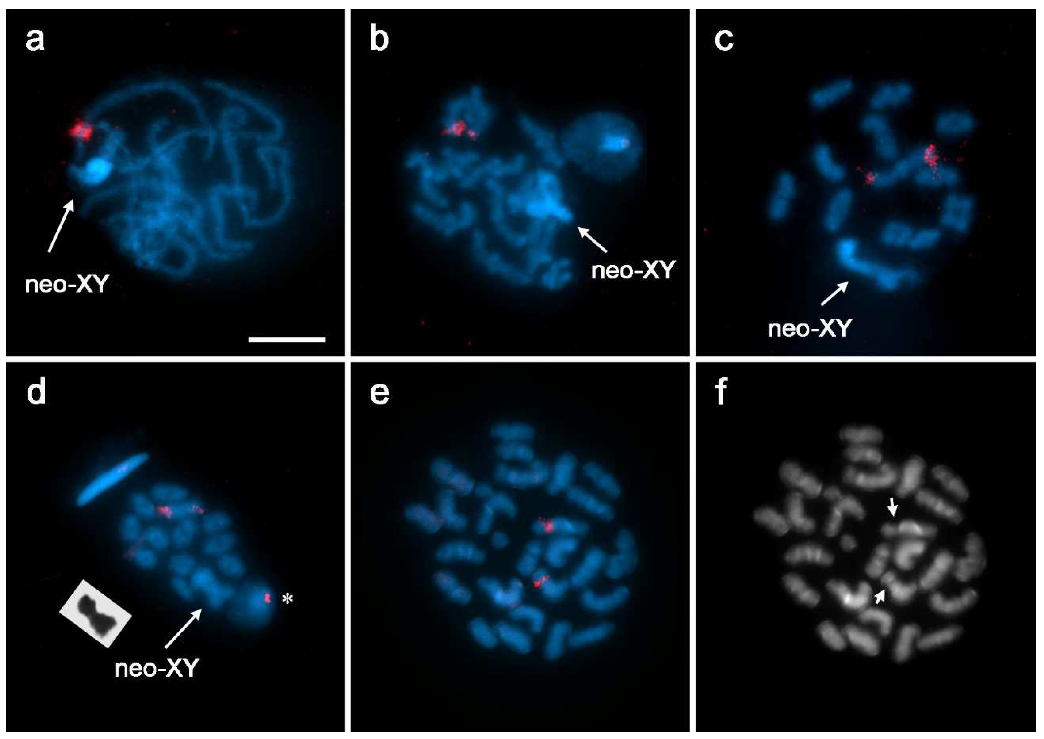 Insects 13 01159 g001