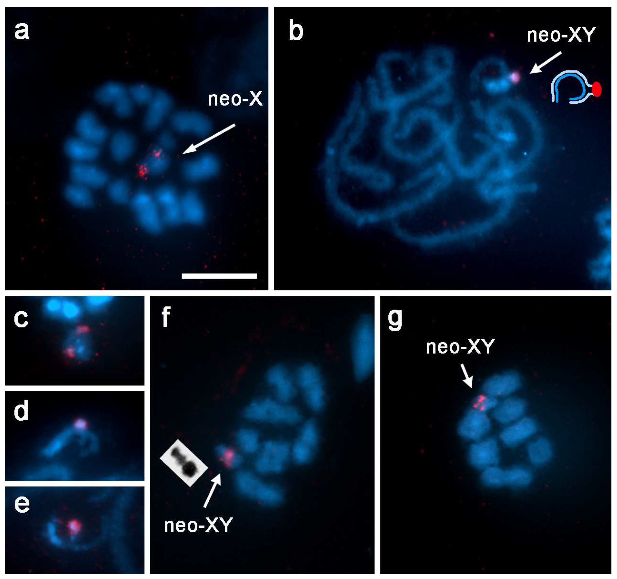 Insects 13 01159 g002