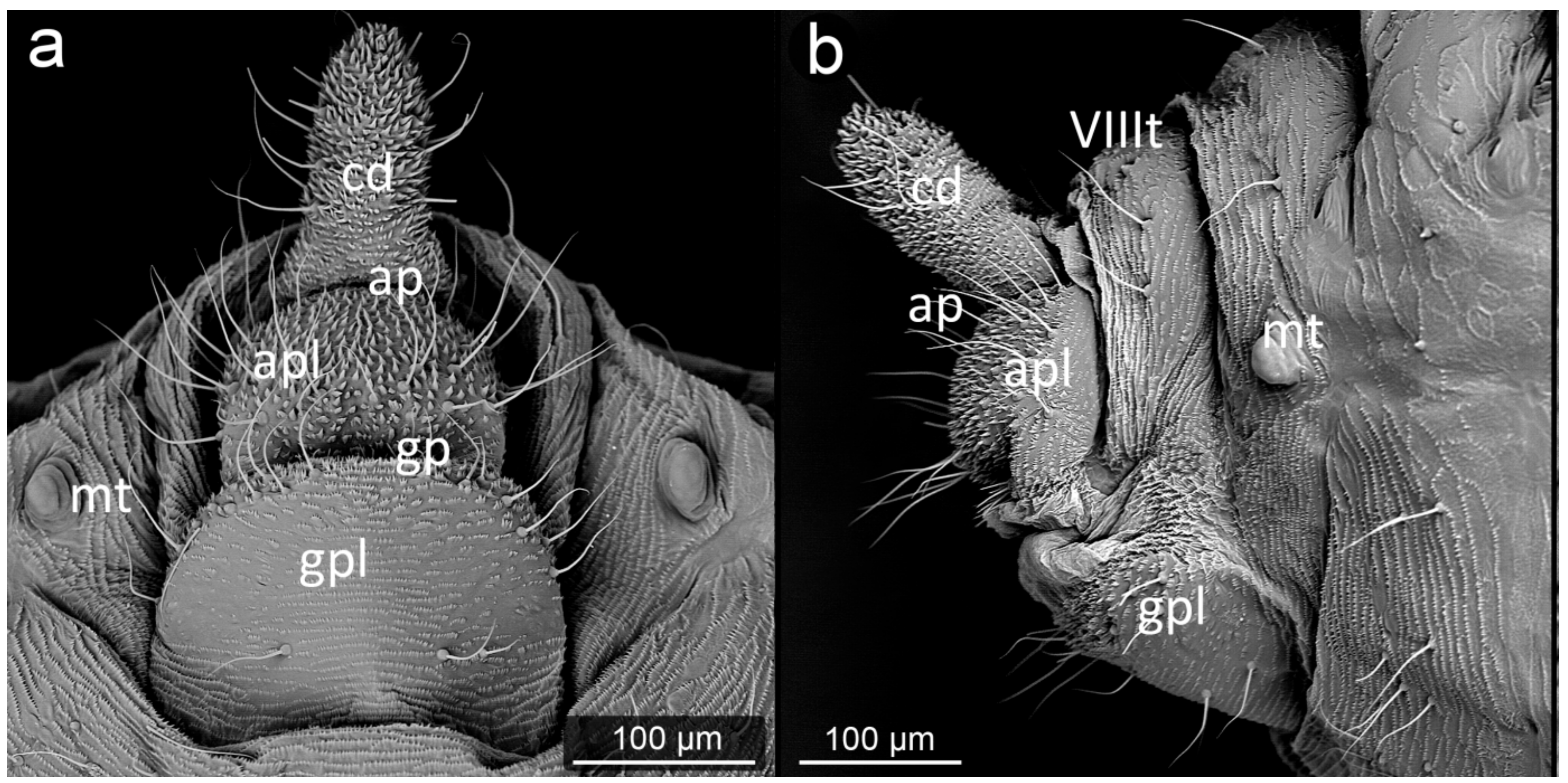Insects 13 01160 g001
