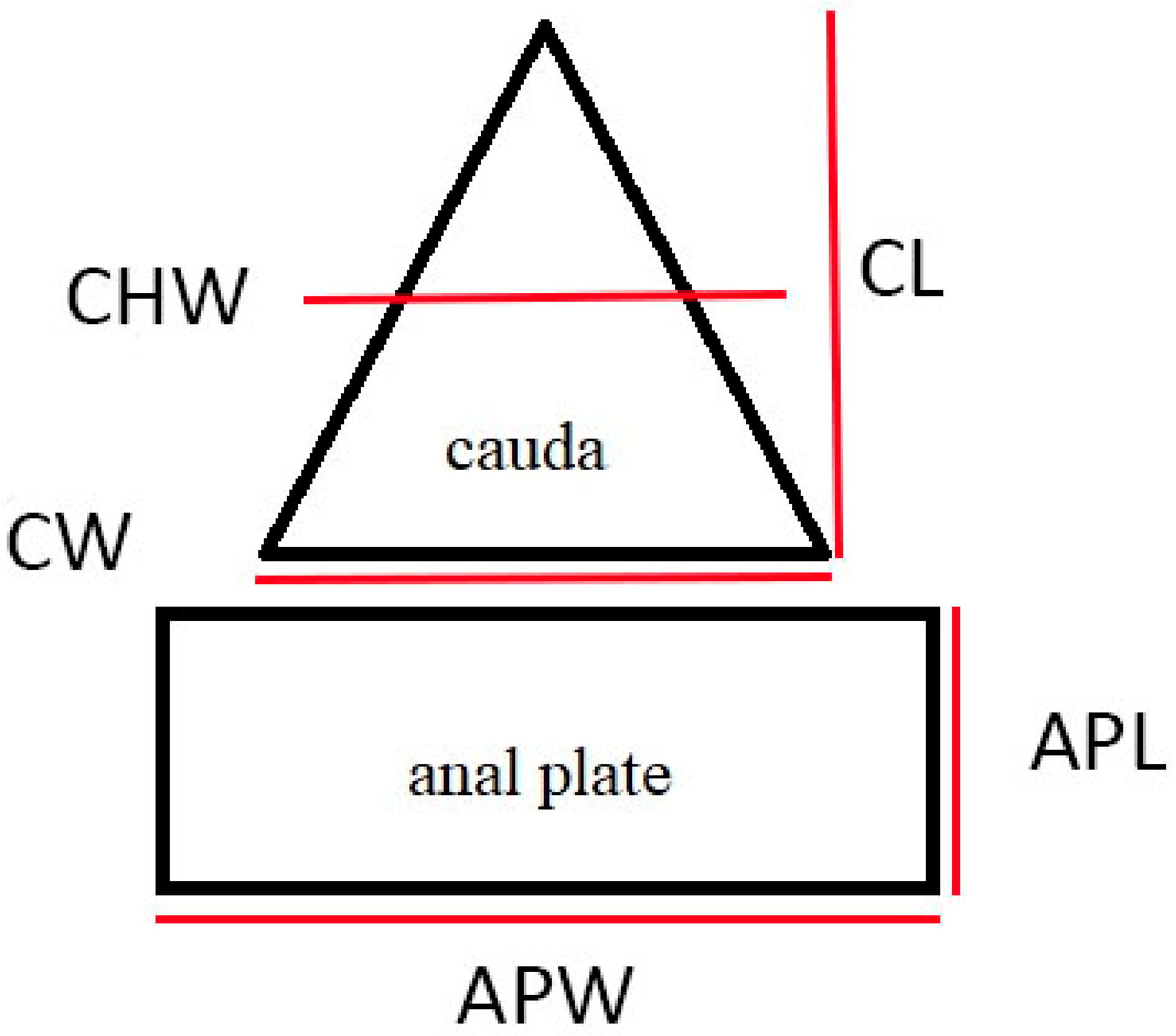 Insects 13 01160 g002