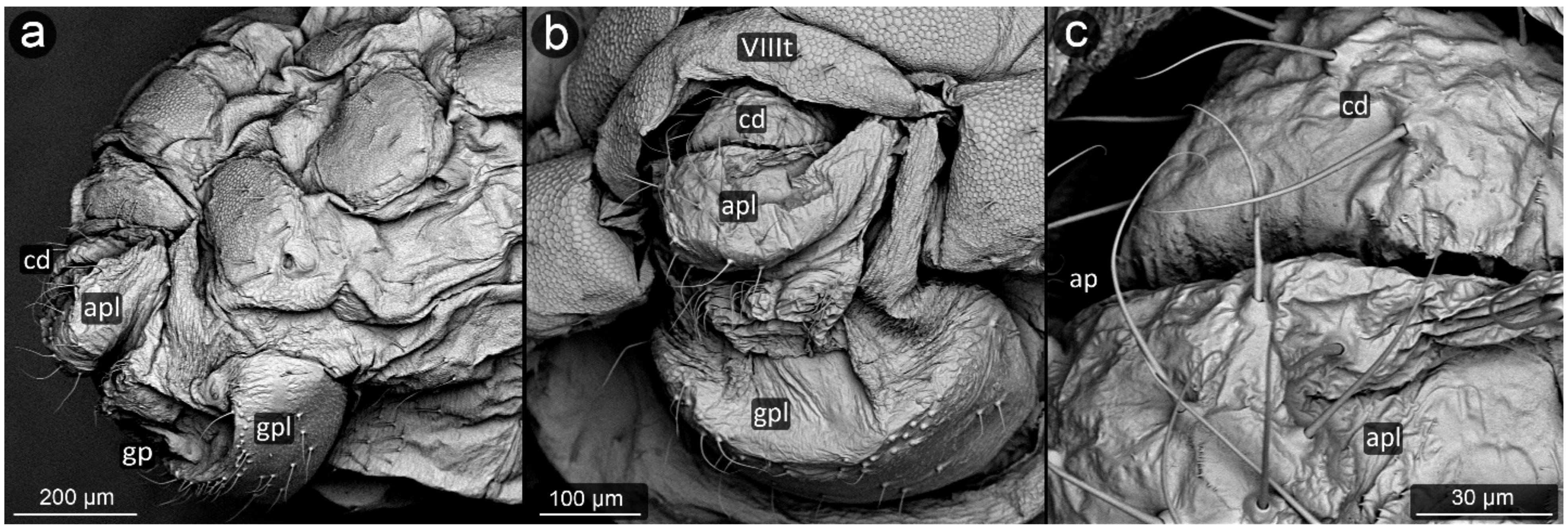 Insects 13 01160 g004