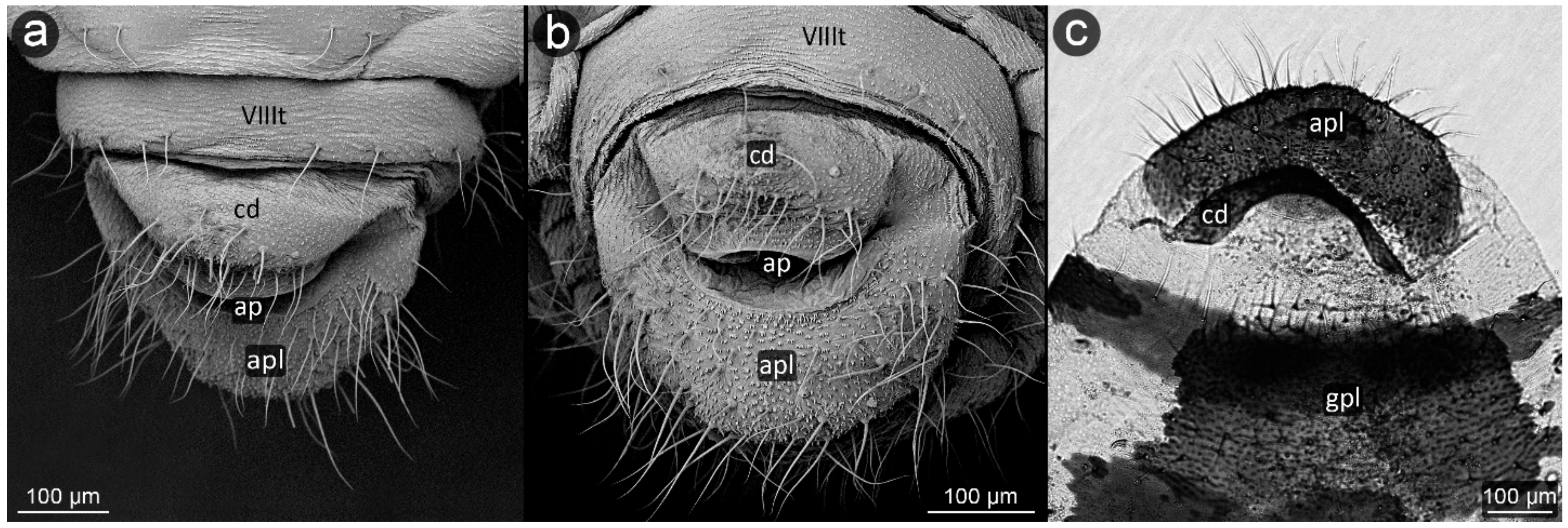 Insects 13 01160 g006